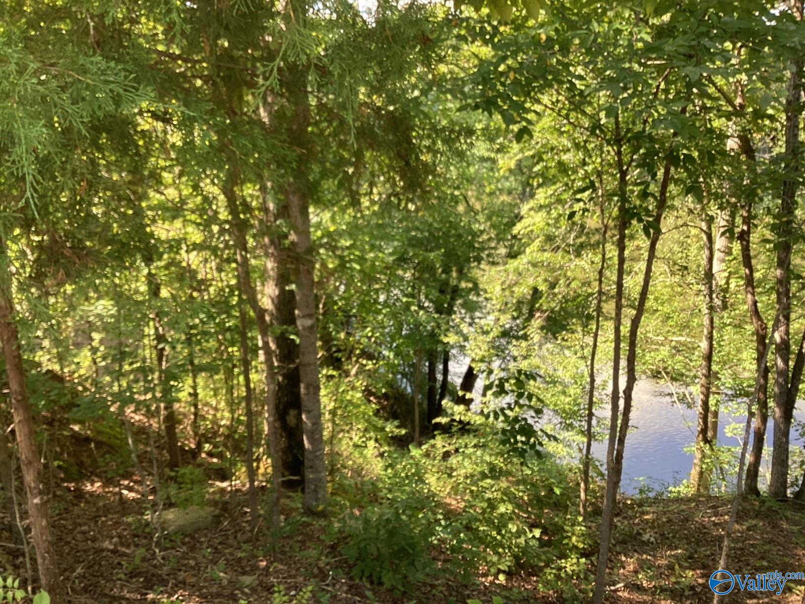 791 Tammy Trail