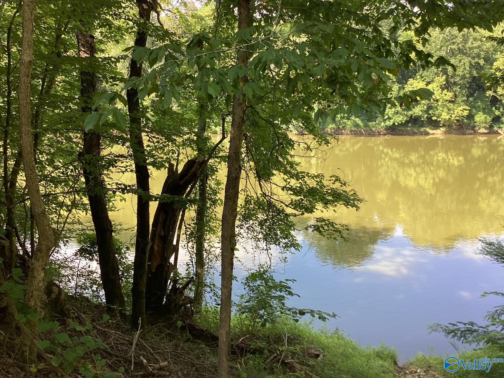791 Tammy Trail