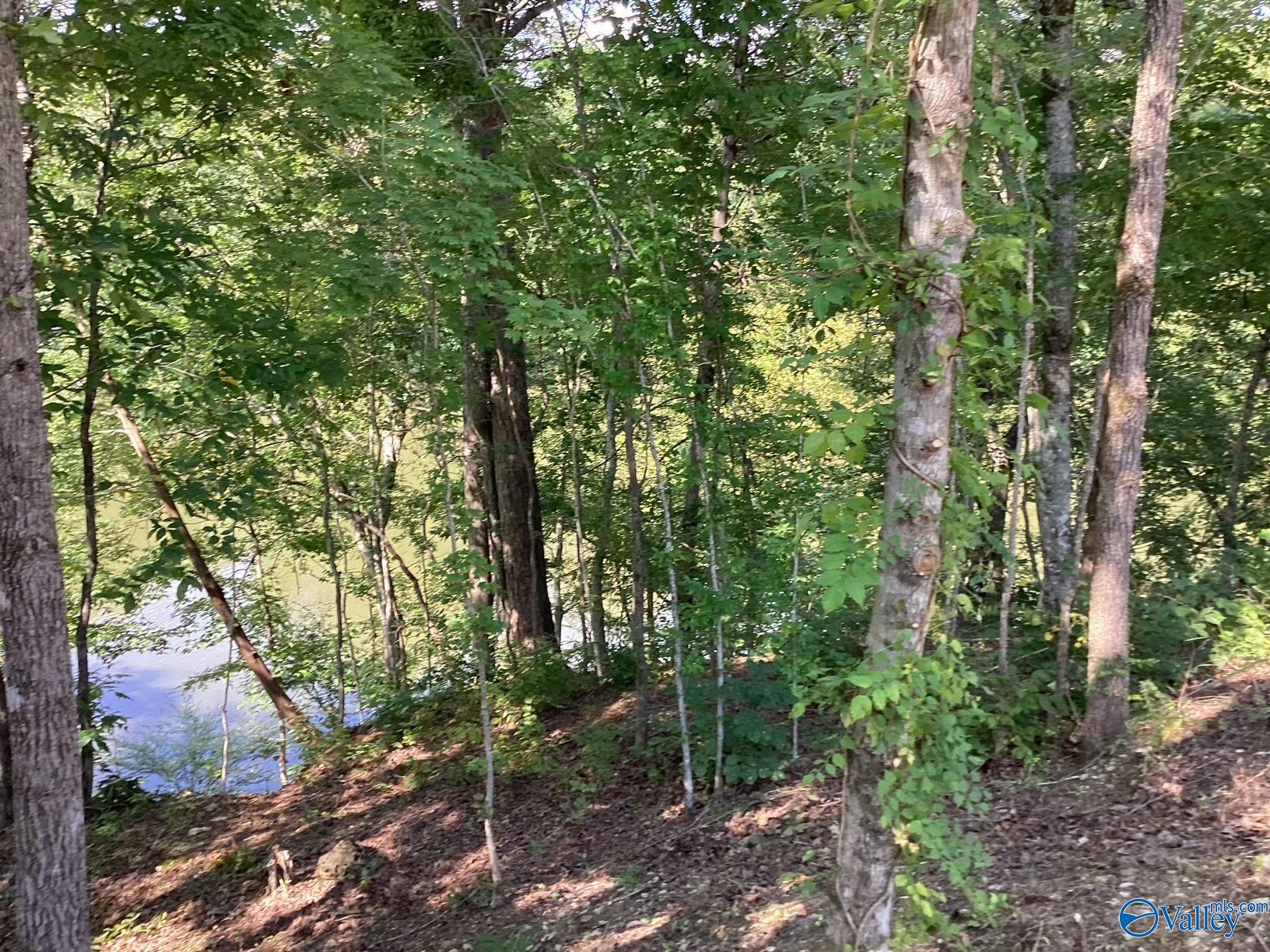 791 Tammy Trail