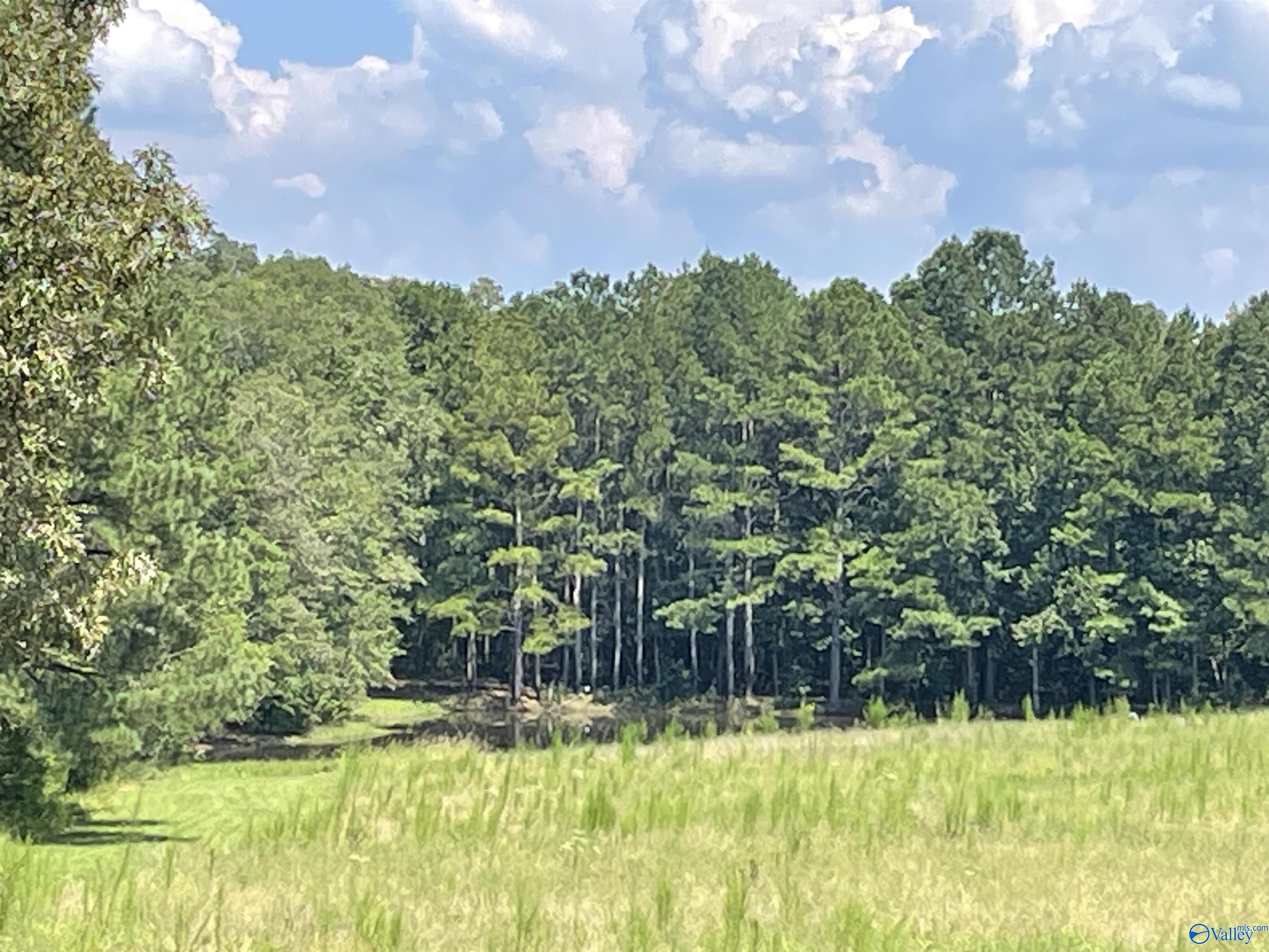 41 Acres/298 Spinks Drive