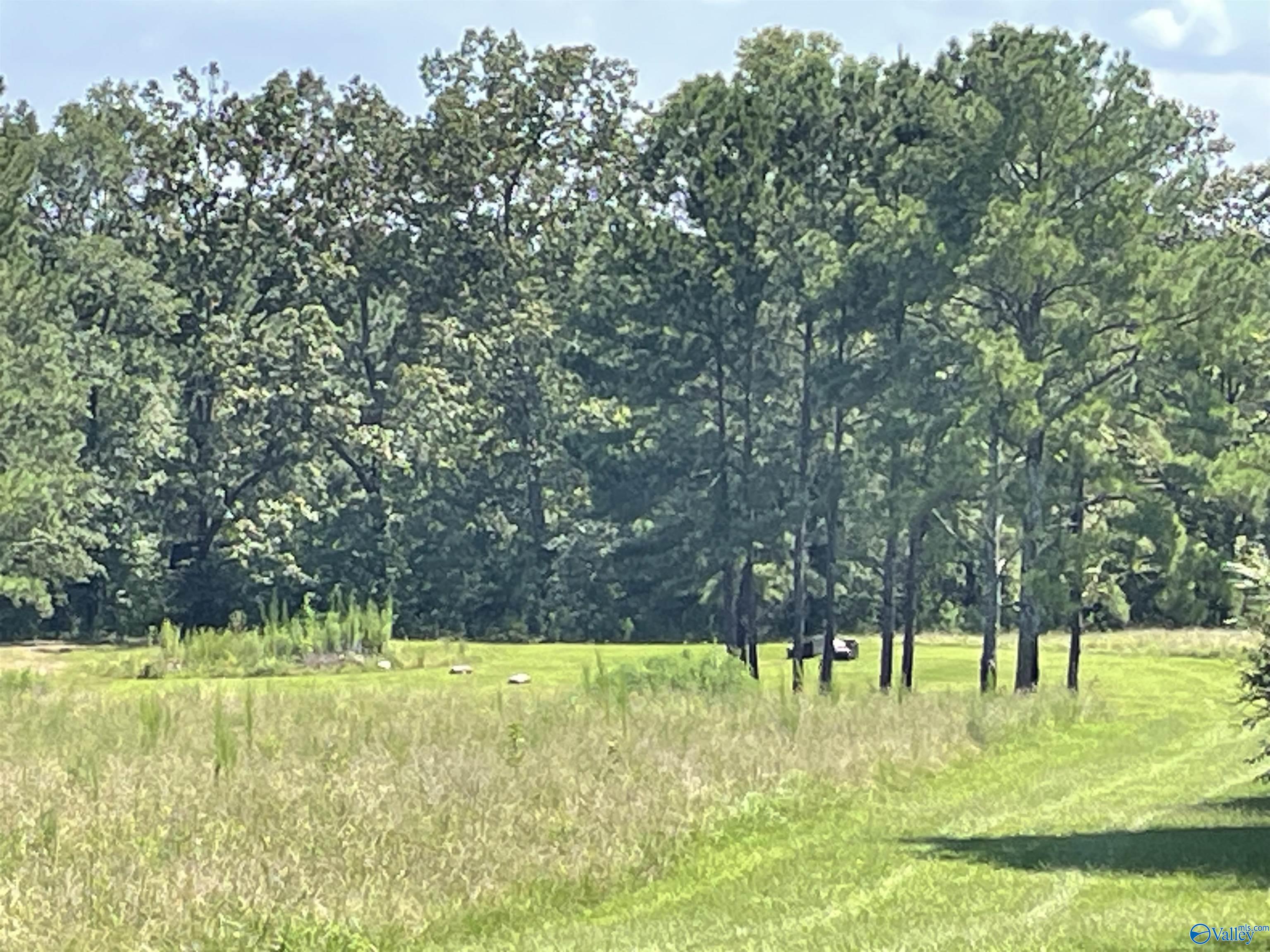 41 Acres/298 Spinks Drive