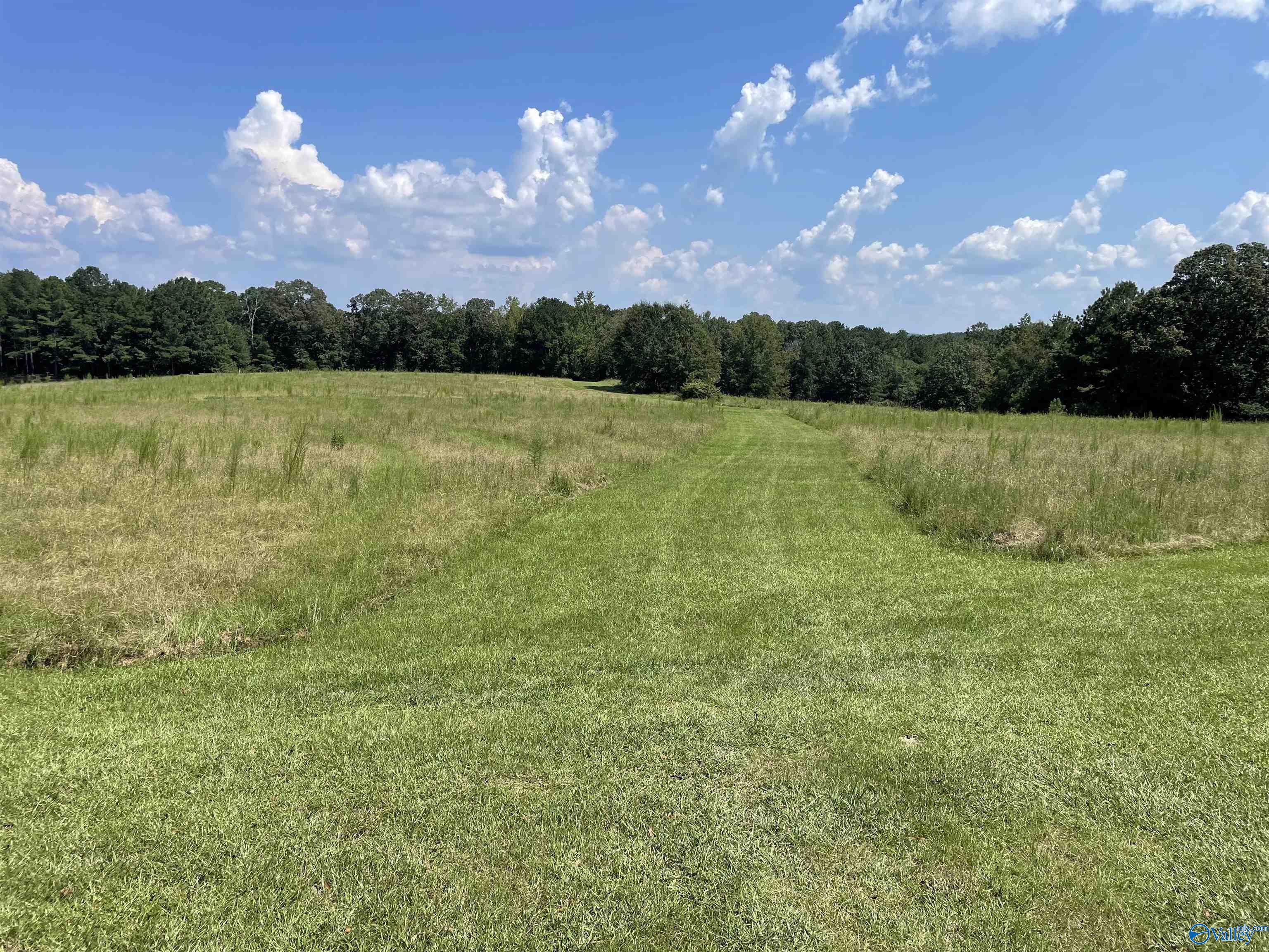 41 Acres/298 Spinks Drive