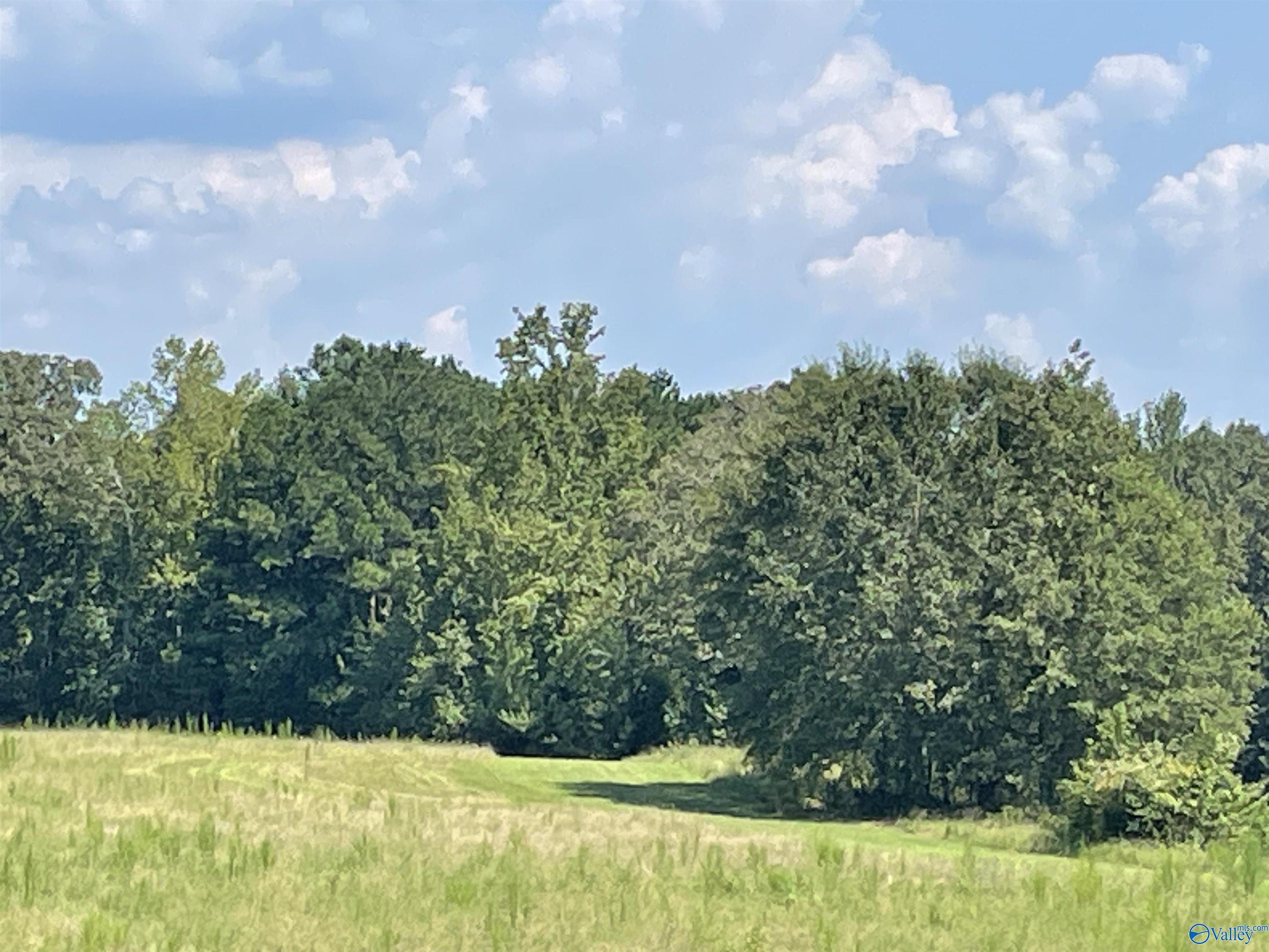 41 Acres/298 Spinks Drive
