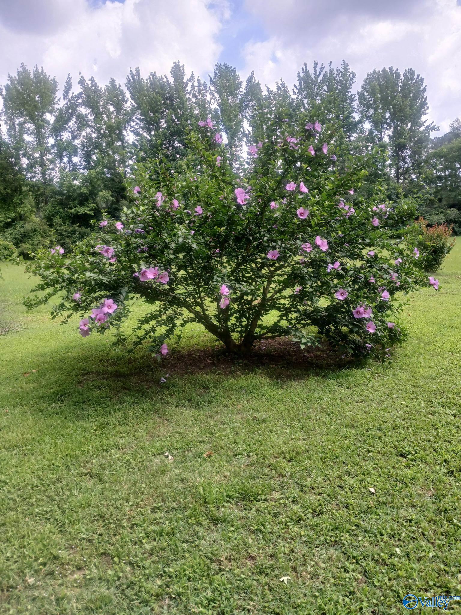 170 Satterfield Lane N