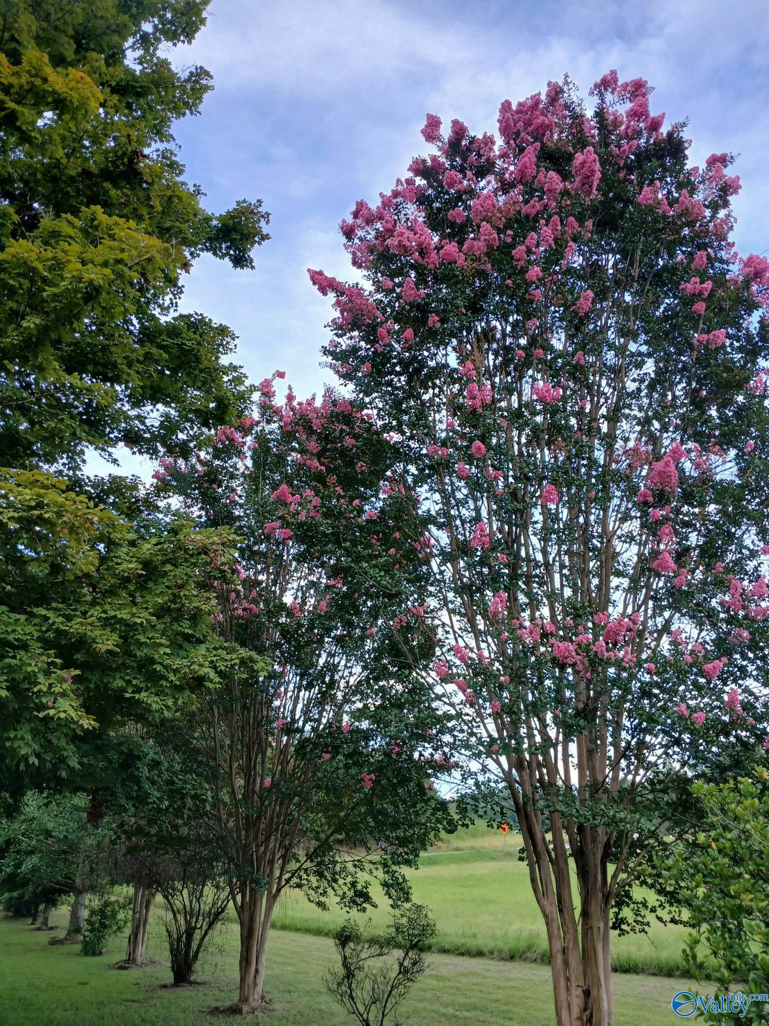 170 Satterfield Lane N