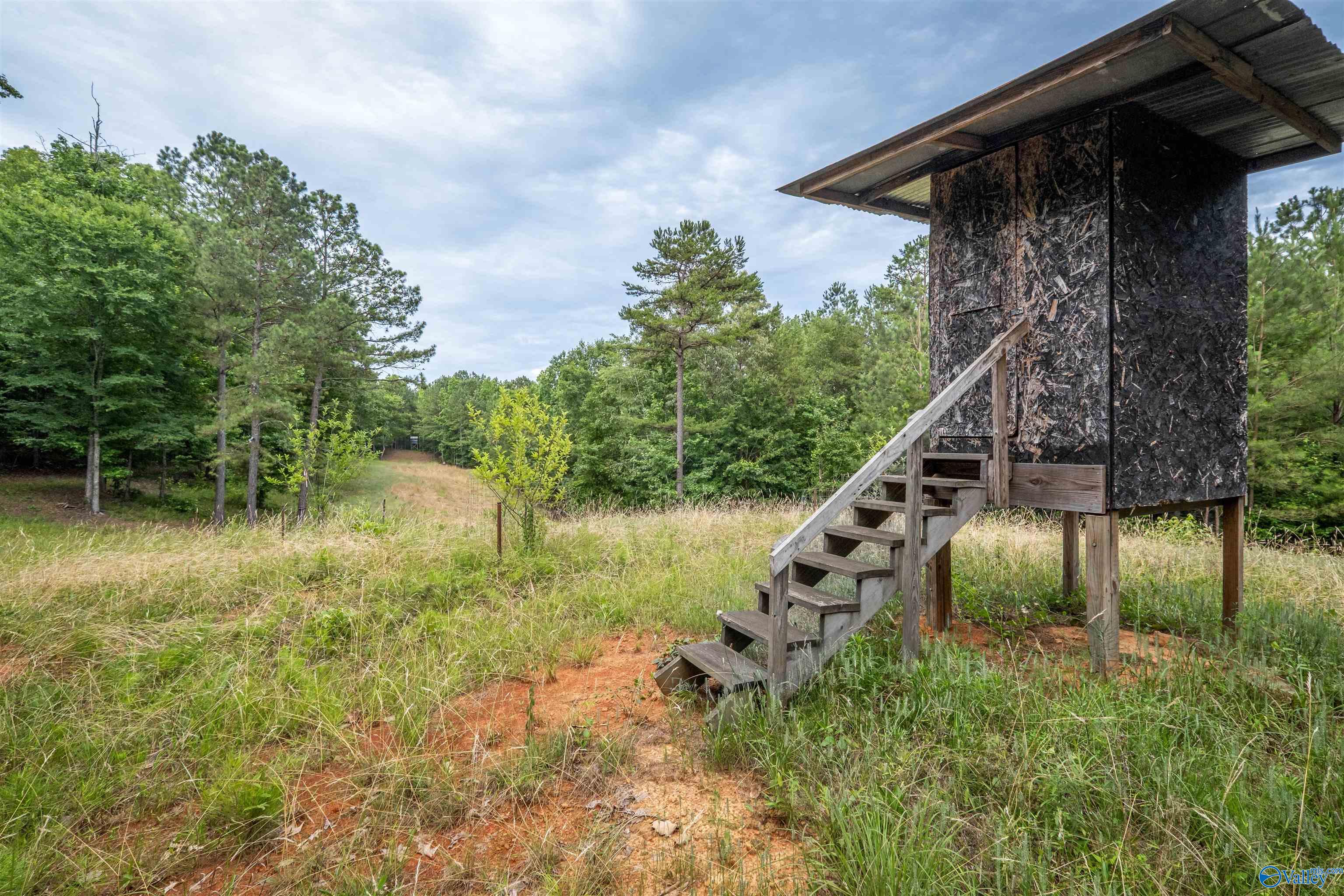 7805-B Owls Hollow Road