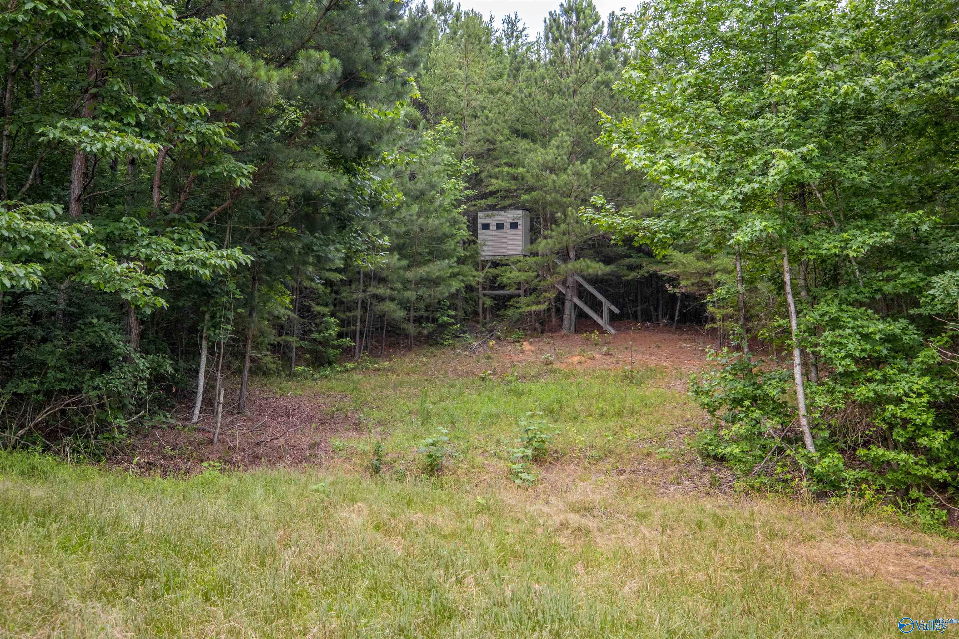 7805-B Owls Hollow Road