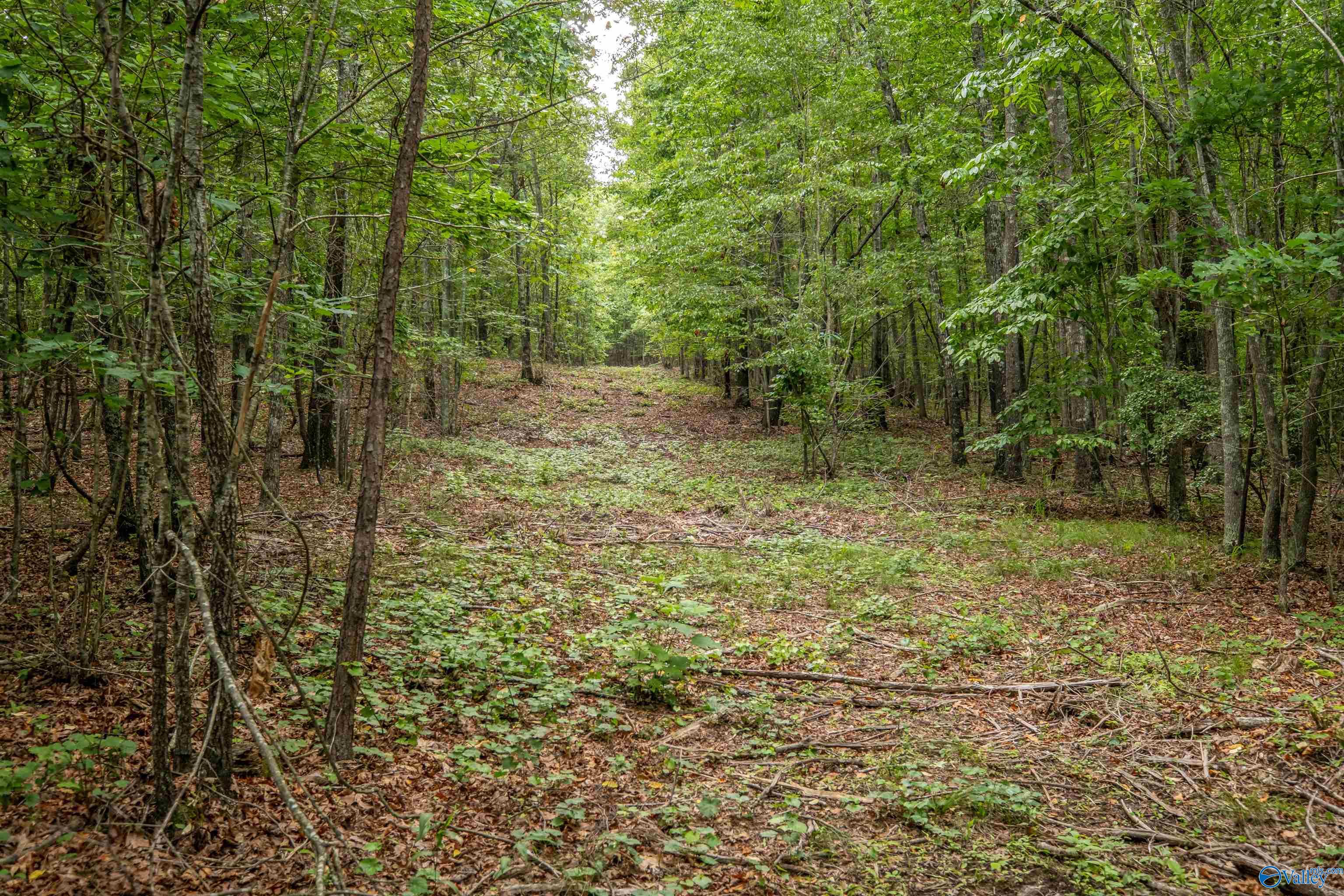 7805-B Owls Hollow Road