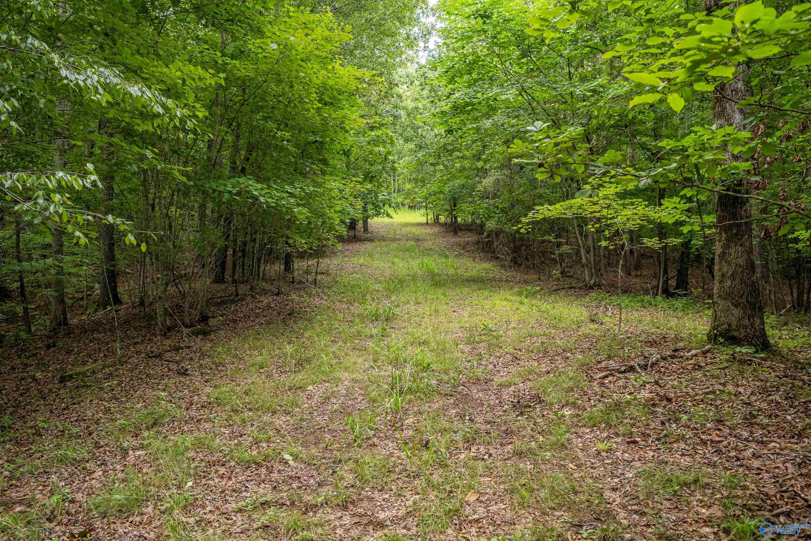 7805-B Owls Hollow Road