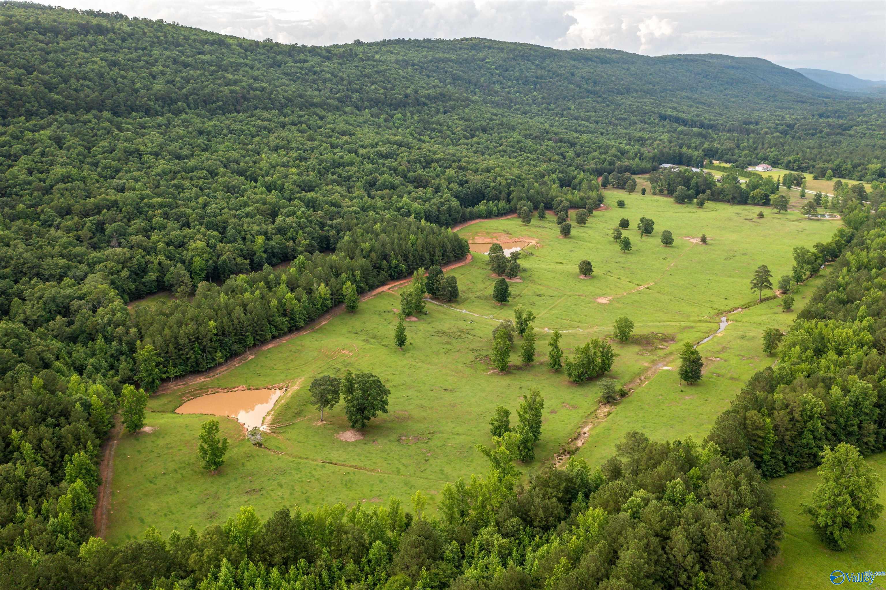 7805-B Owls Hollow Road