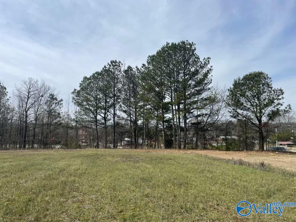 1234 US Highway 431 N