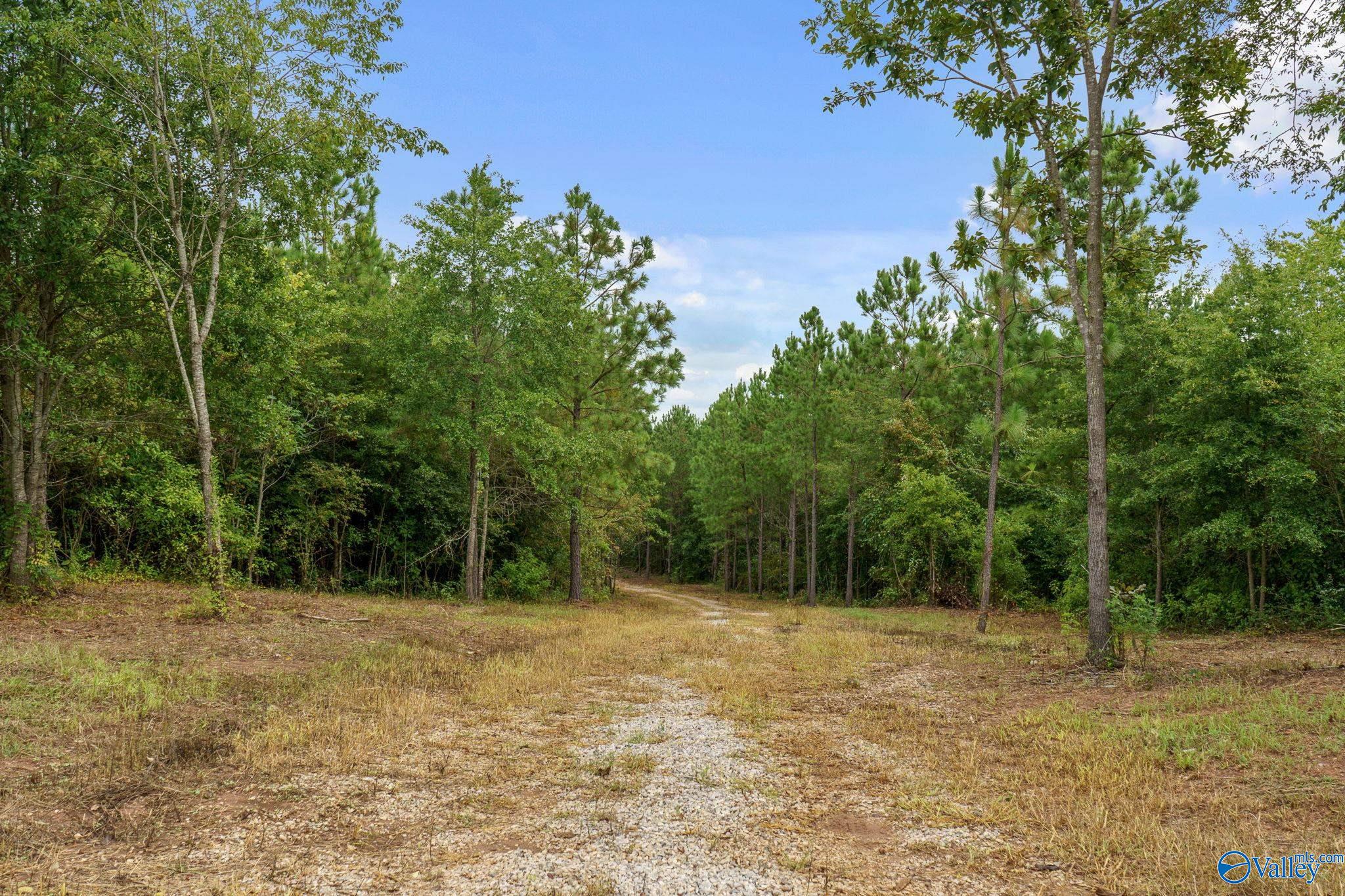 1015 Saint Mary Road