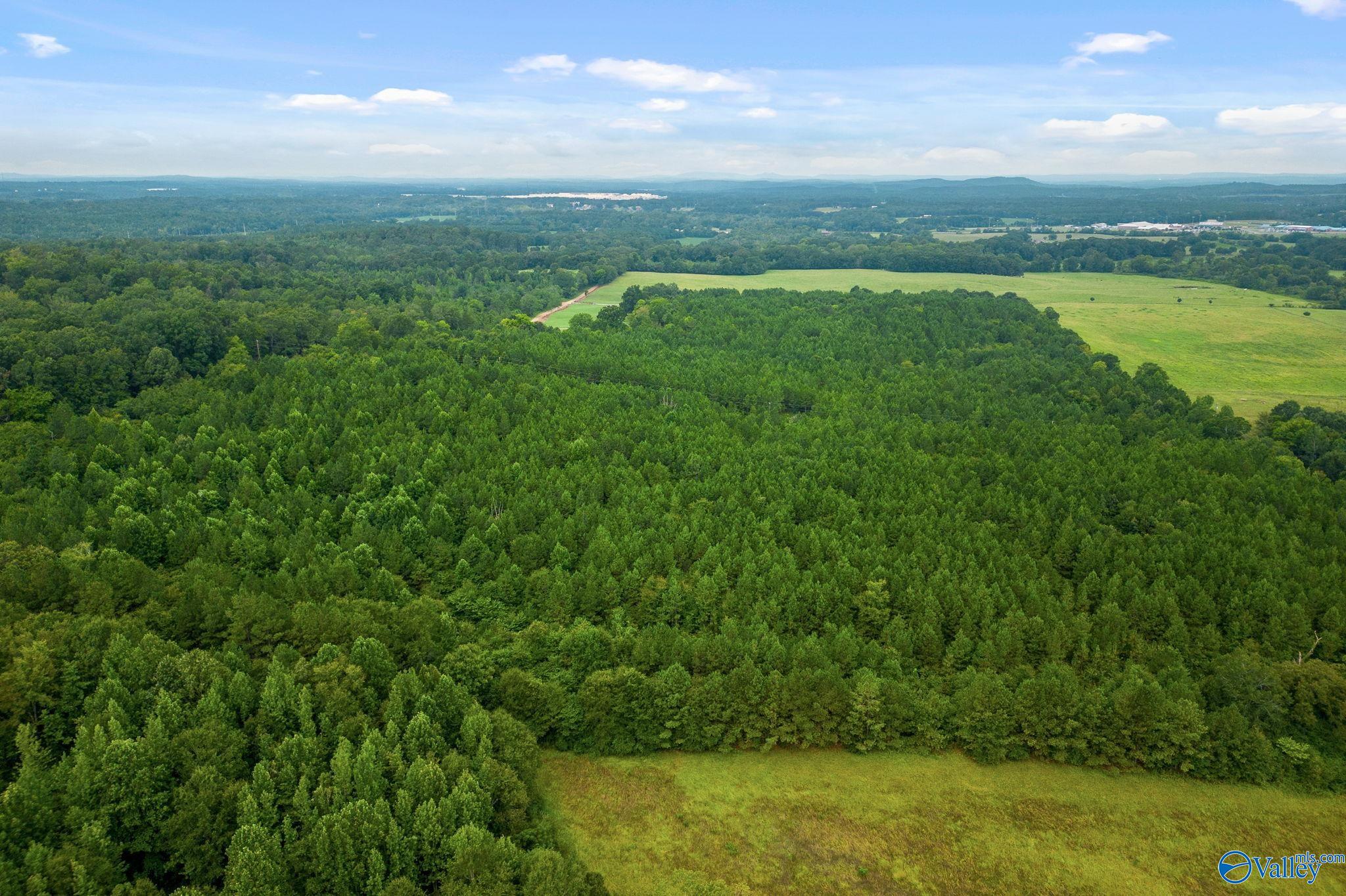 1015 Saint Mary Road