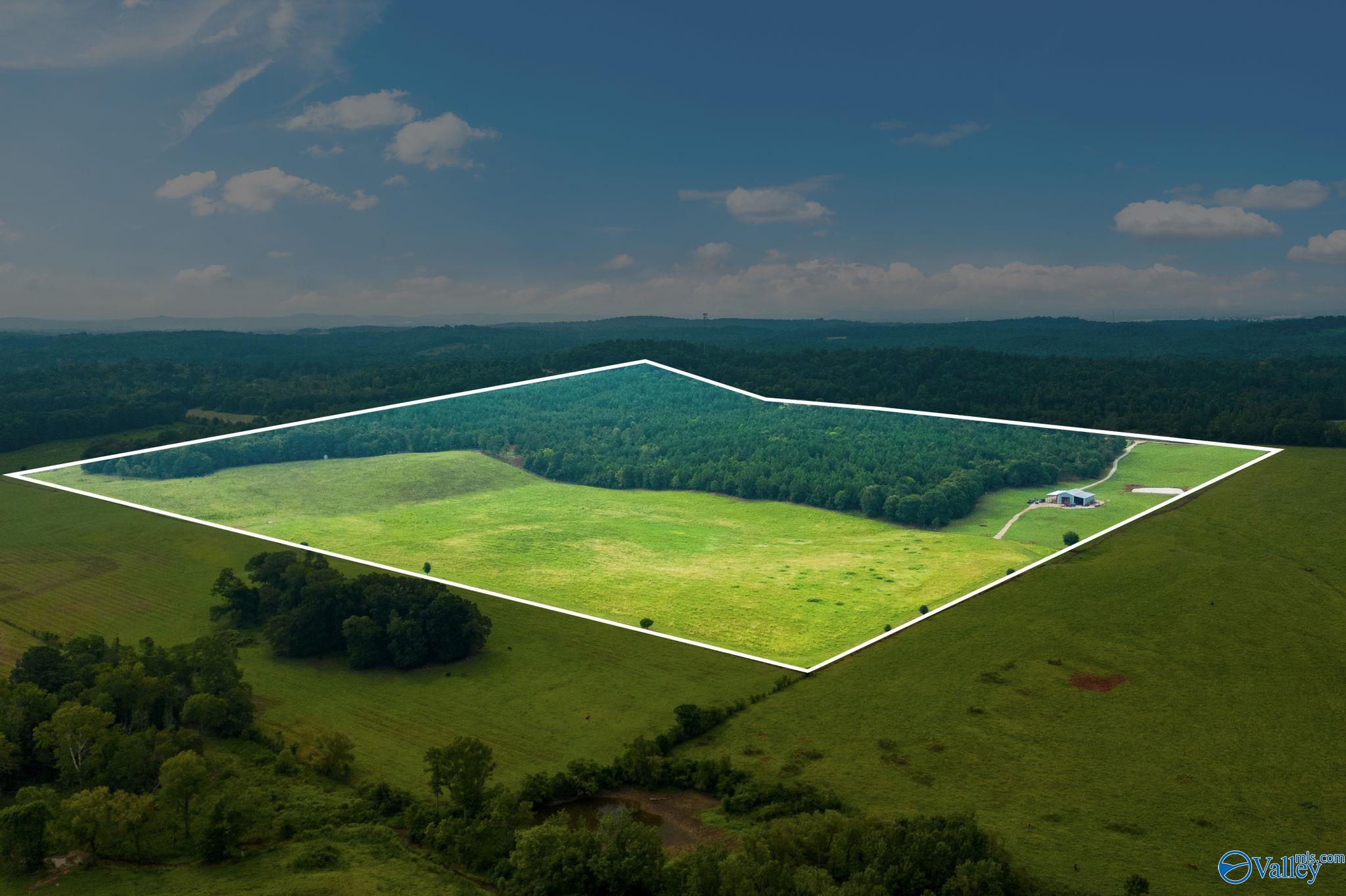 1015 Saint Mary Road