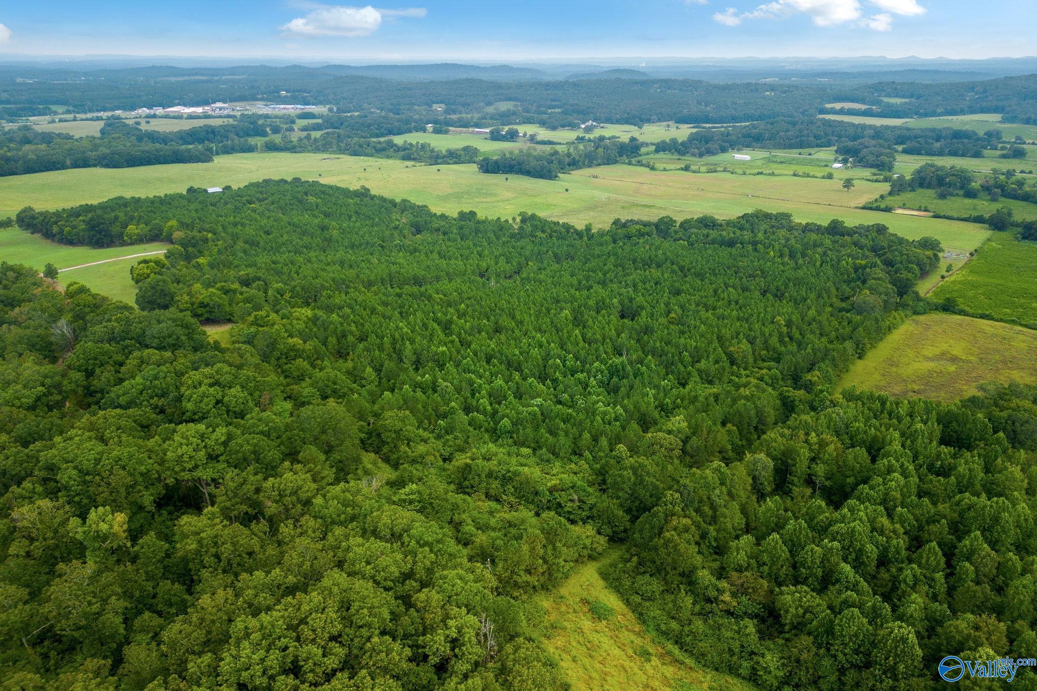 1015 Saint Mary Road