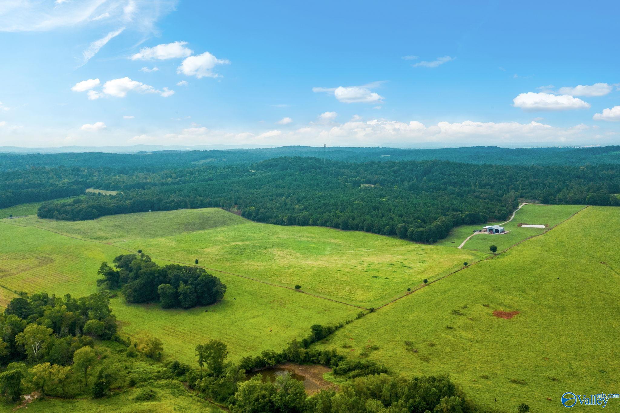 1015 Saint Mary Road