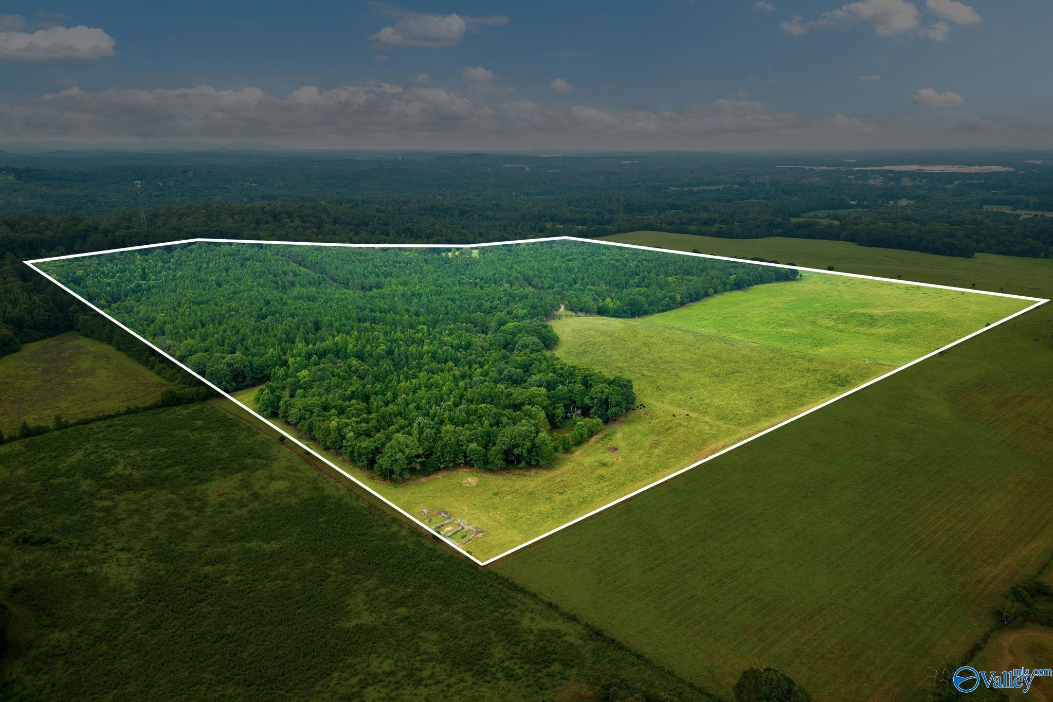 1015 Saint Mary Road