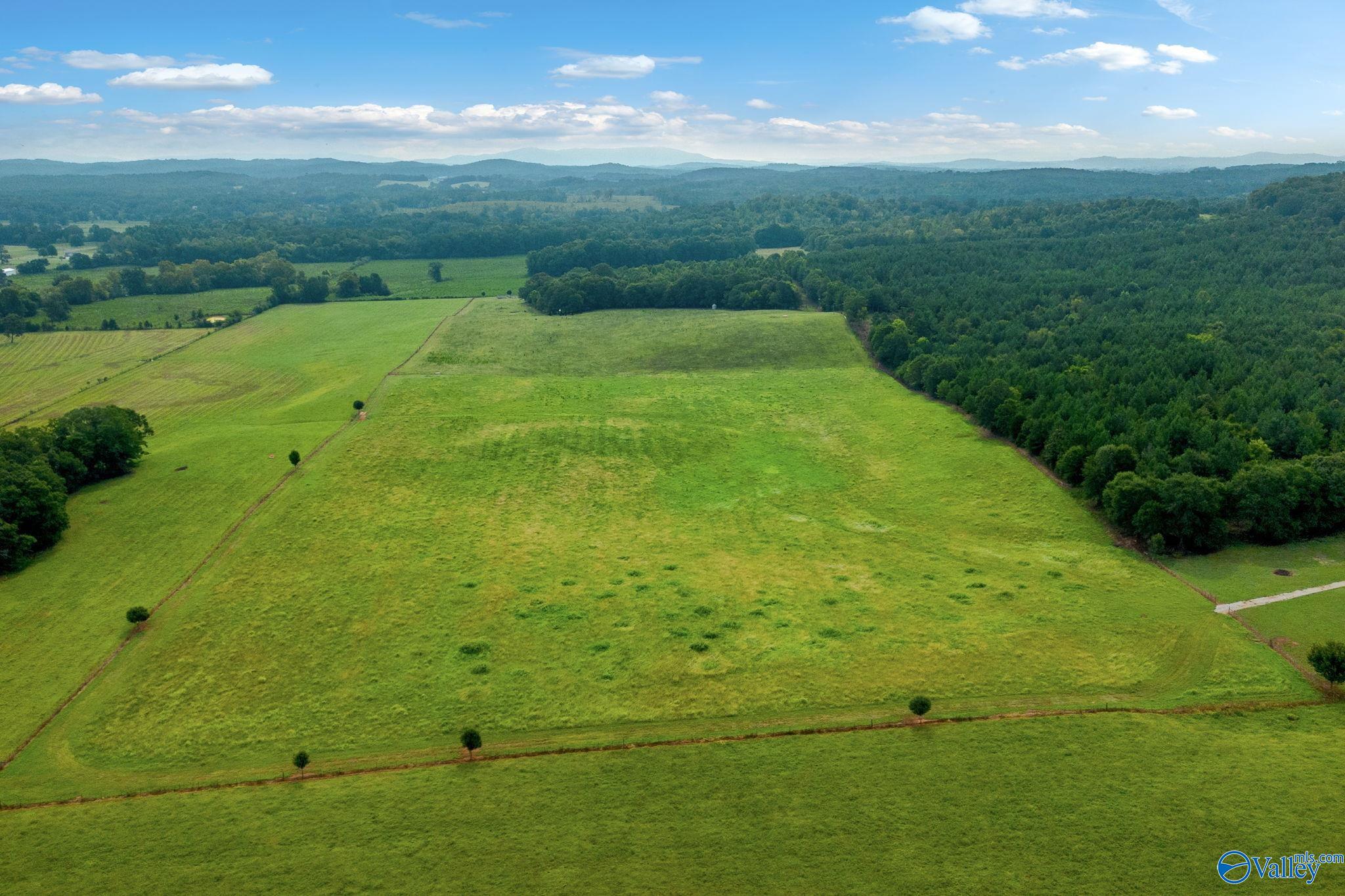 1015 Saint Mary Road