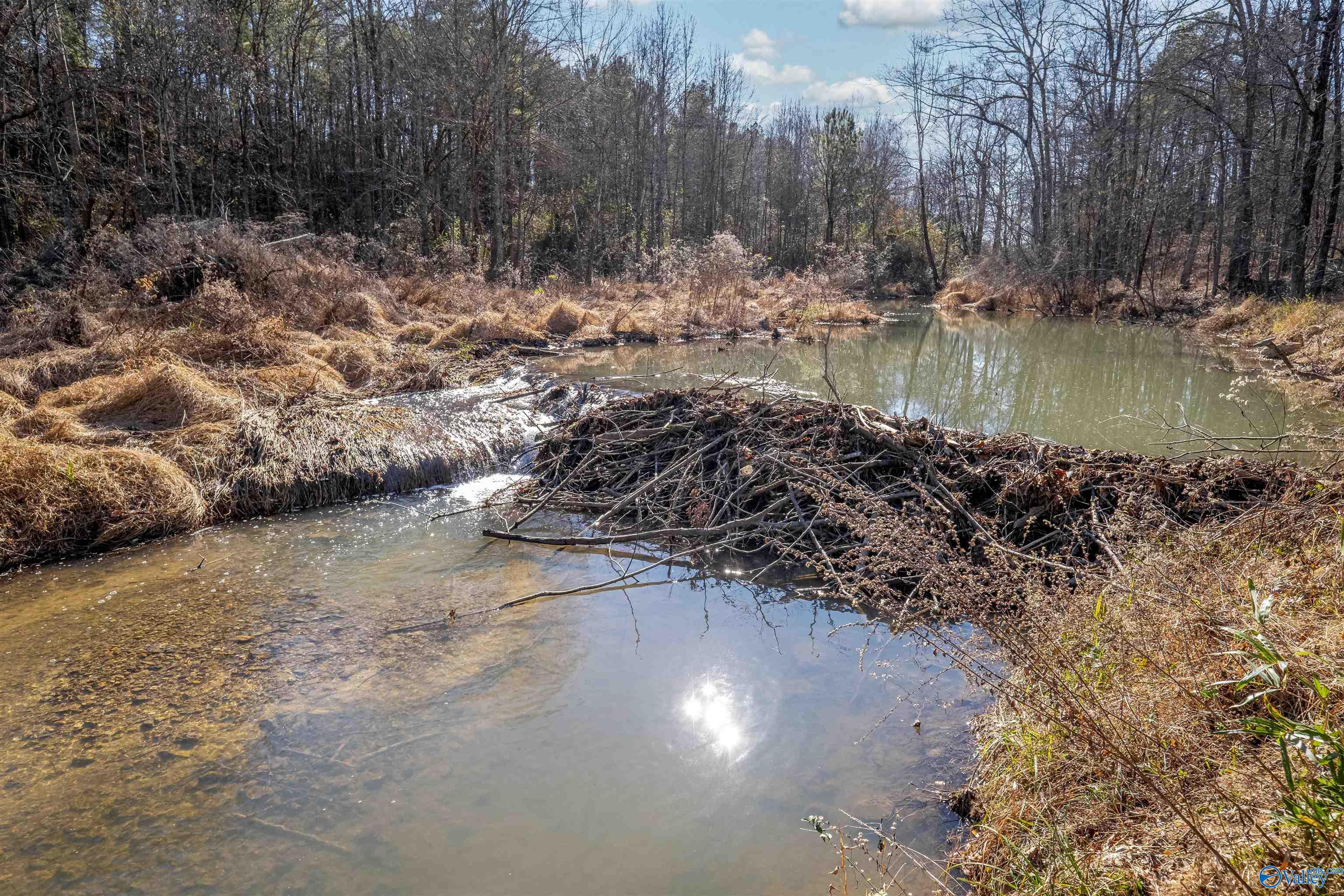 1280 Mack Alexander Road