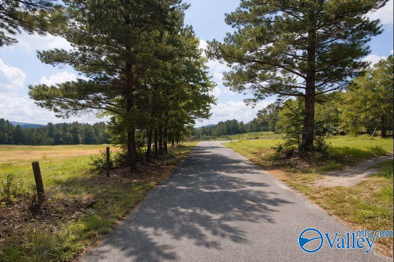 1280 Mack Alexander Road