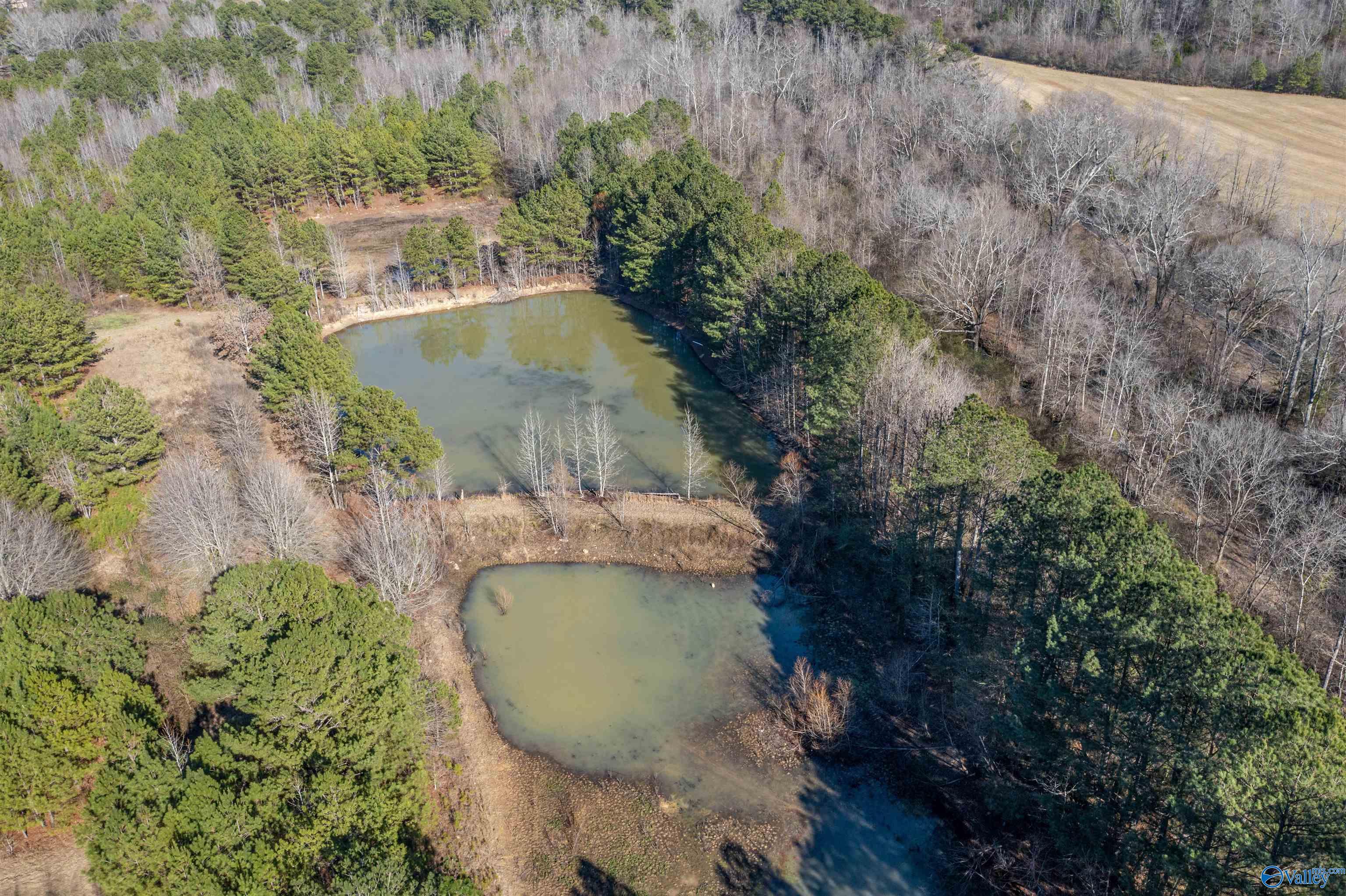 1280 Mack Alexander Road