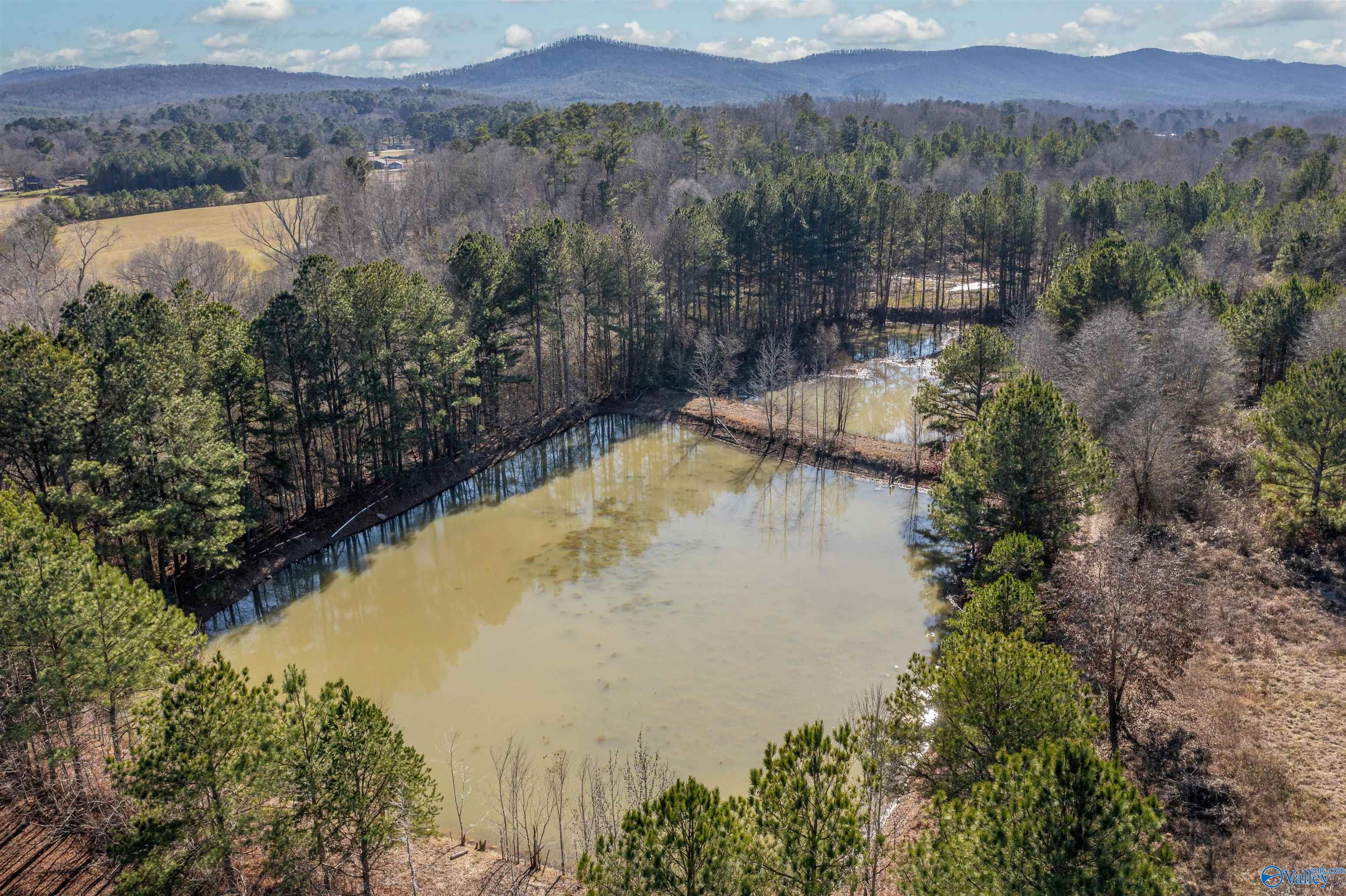 1280 Mack Alexander Road