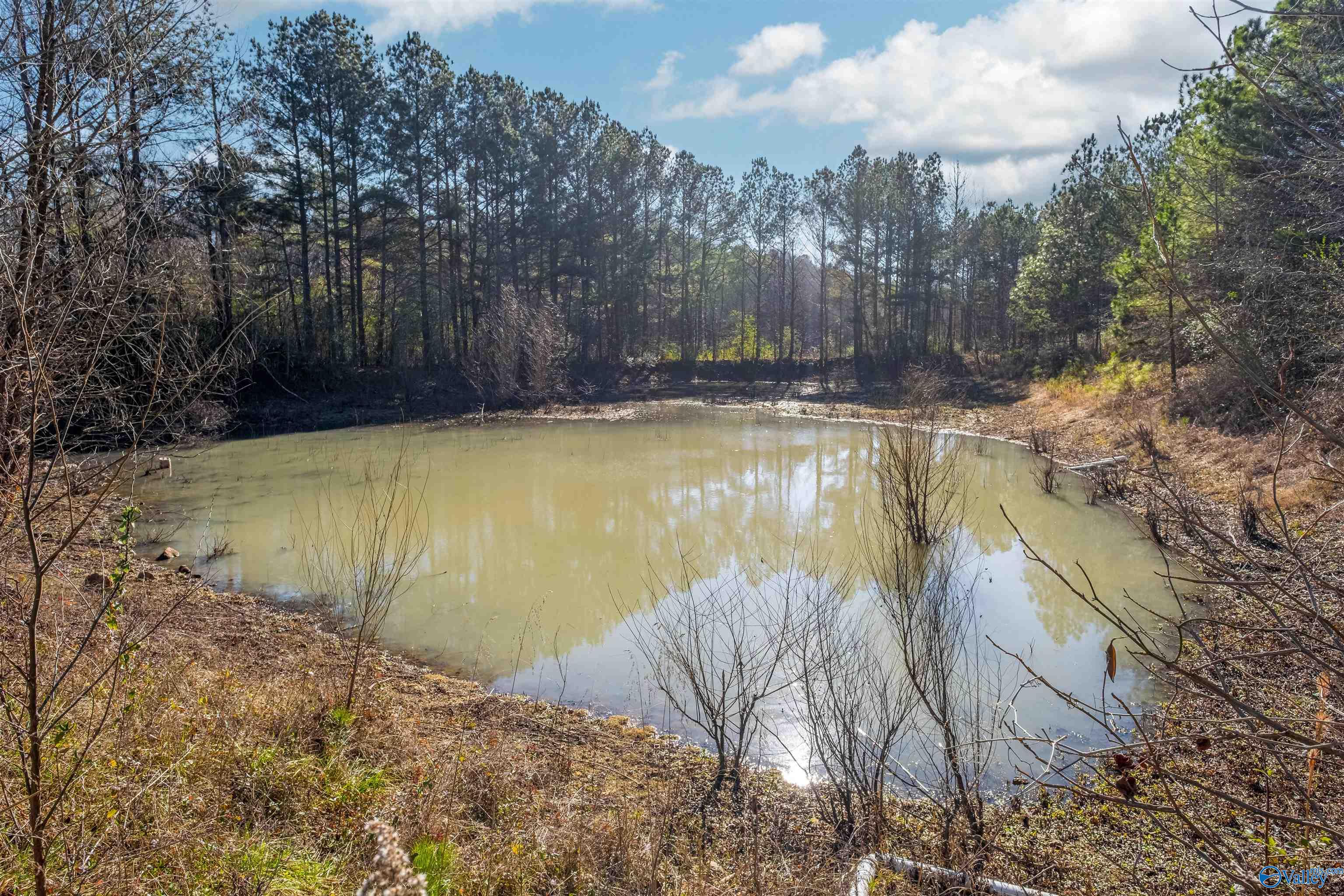 1280 Mack Alexander Road