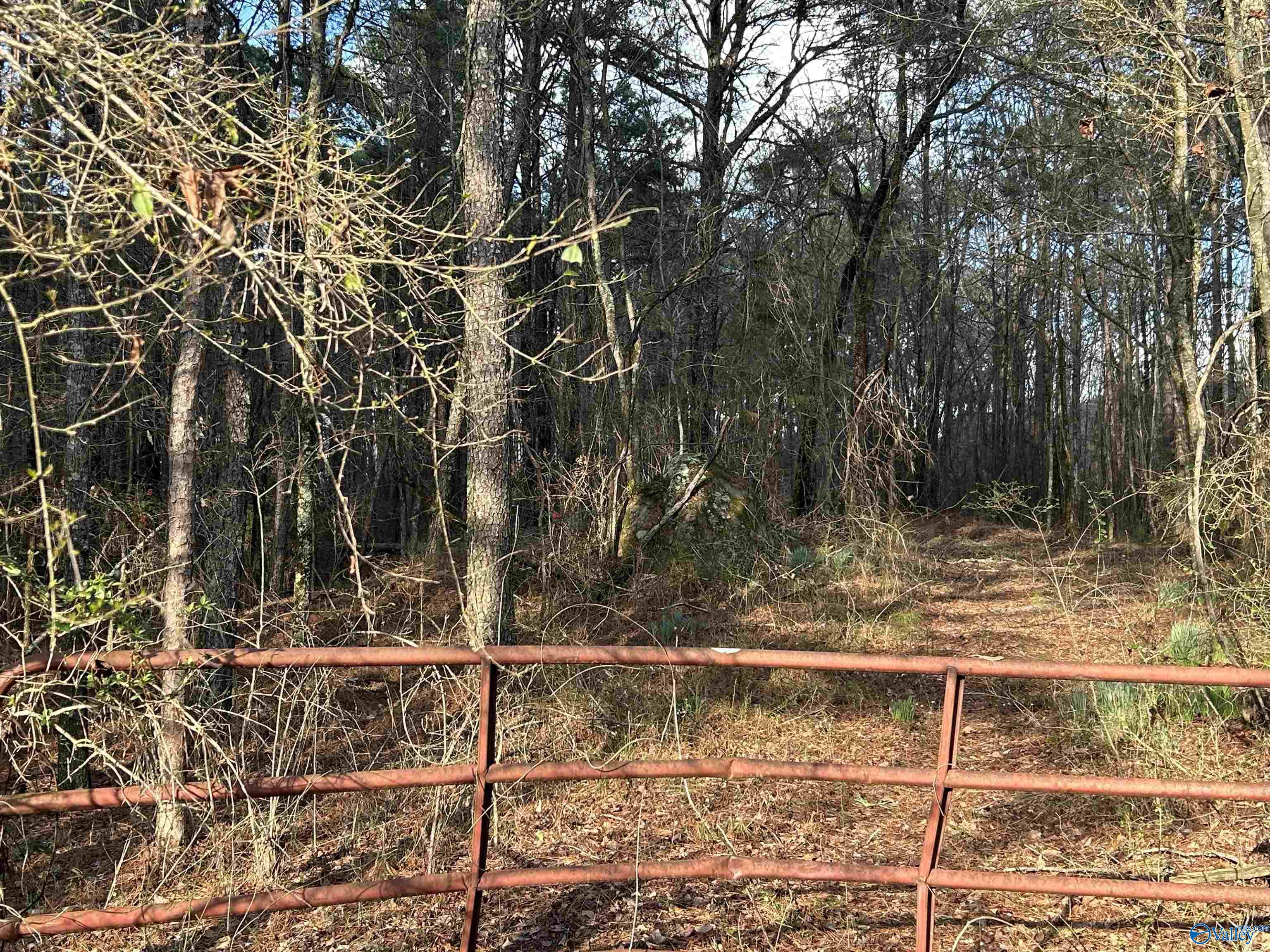 049.000 PARCEL Glenn Gap Road