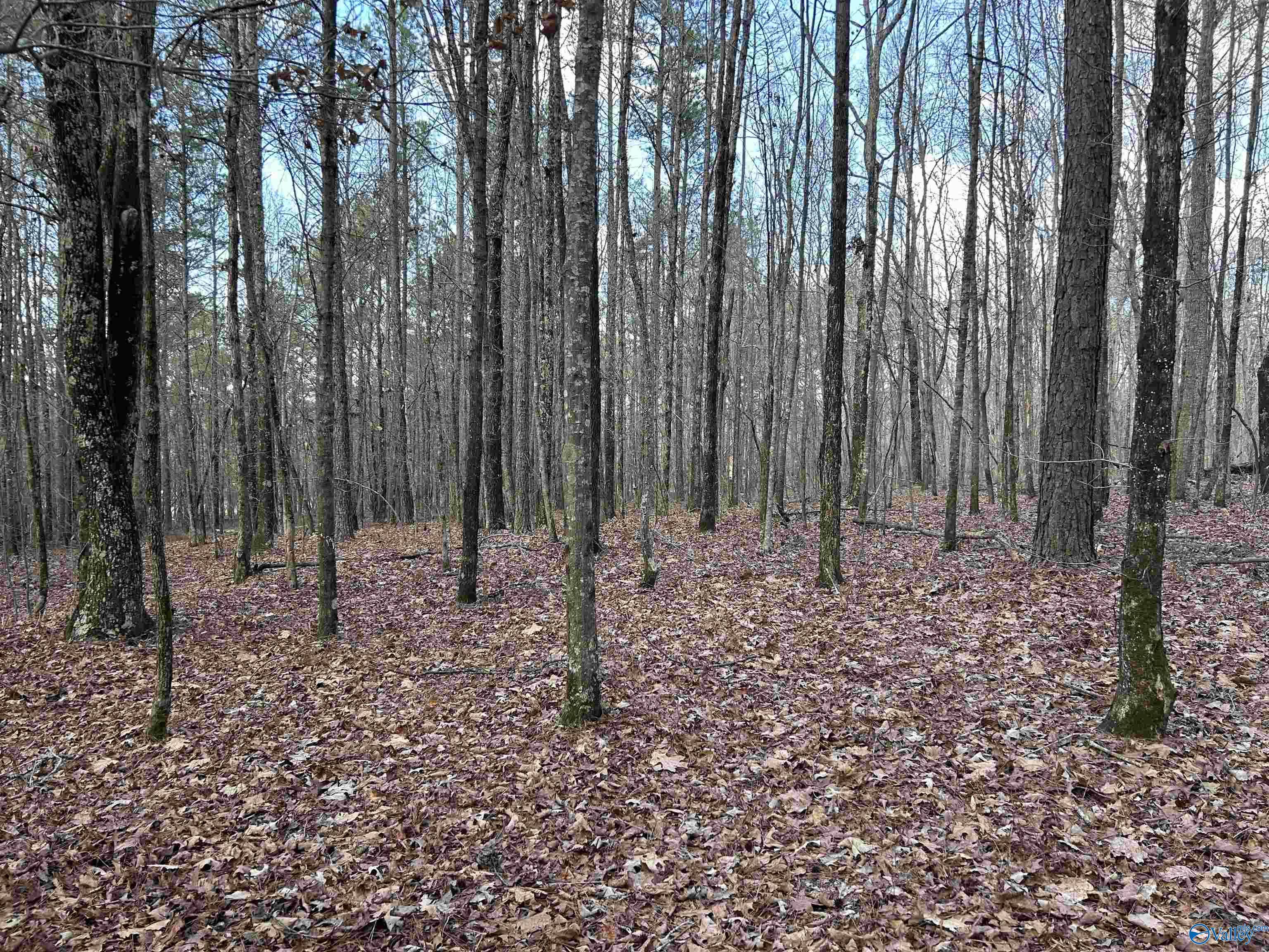 049.000 PARCEL Glenn Gap Road