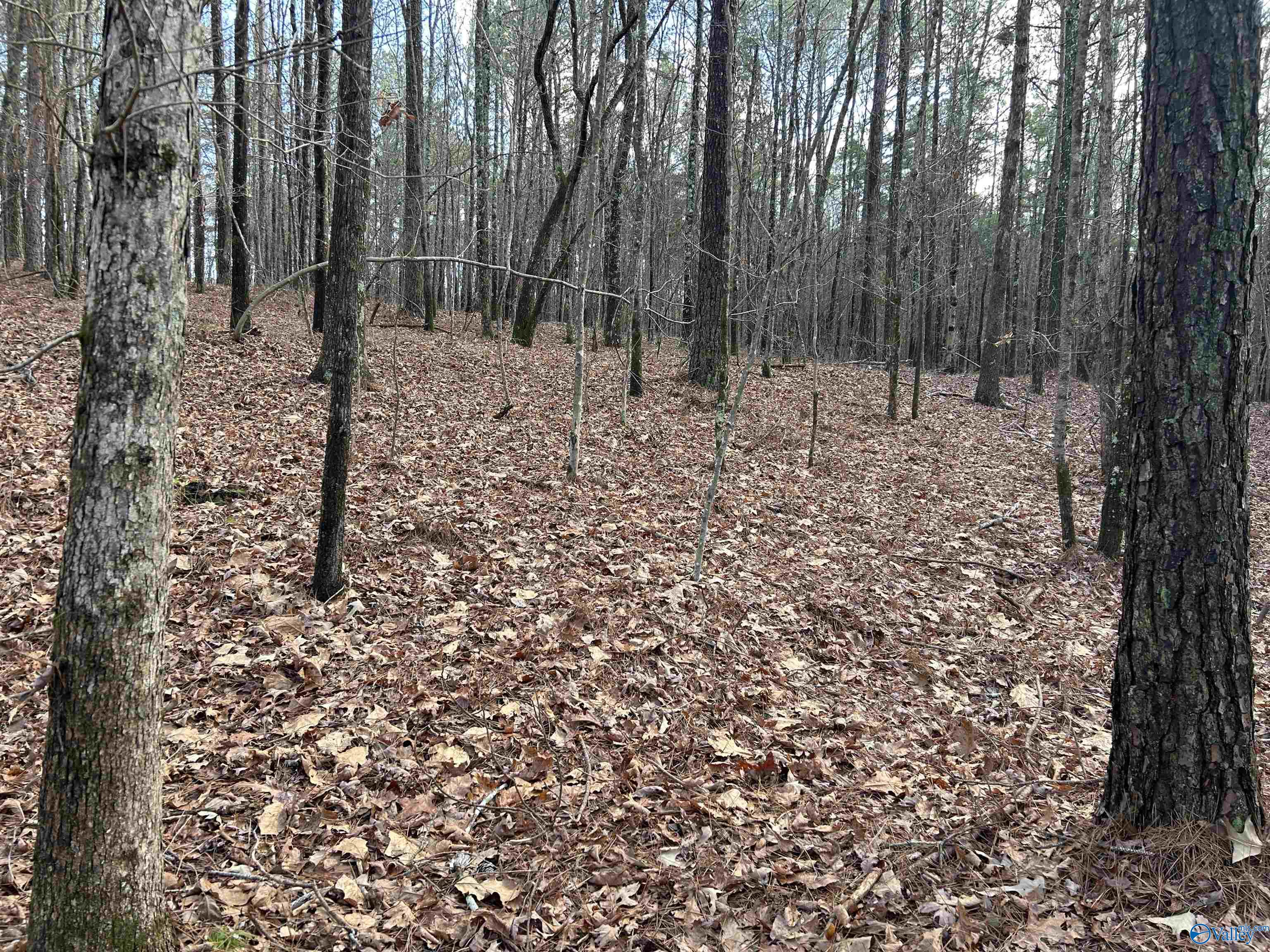 049.000 PARCEL Glenn Gap Road