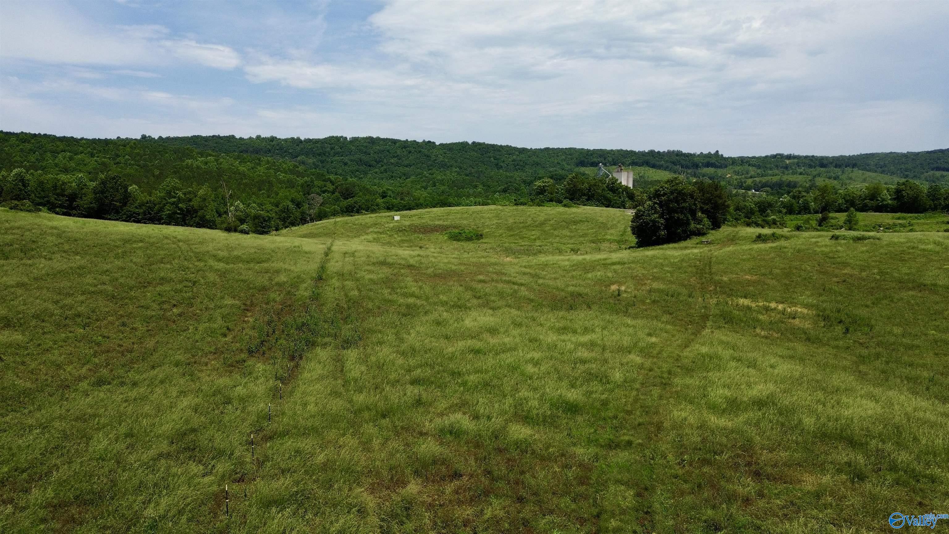 6 acres Carnes Chapel Road
