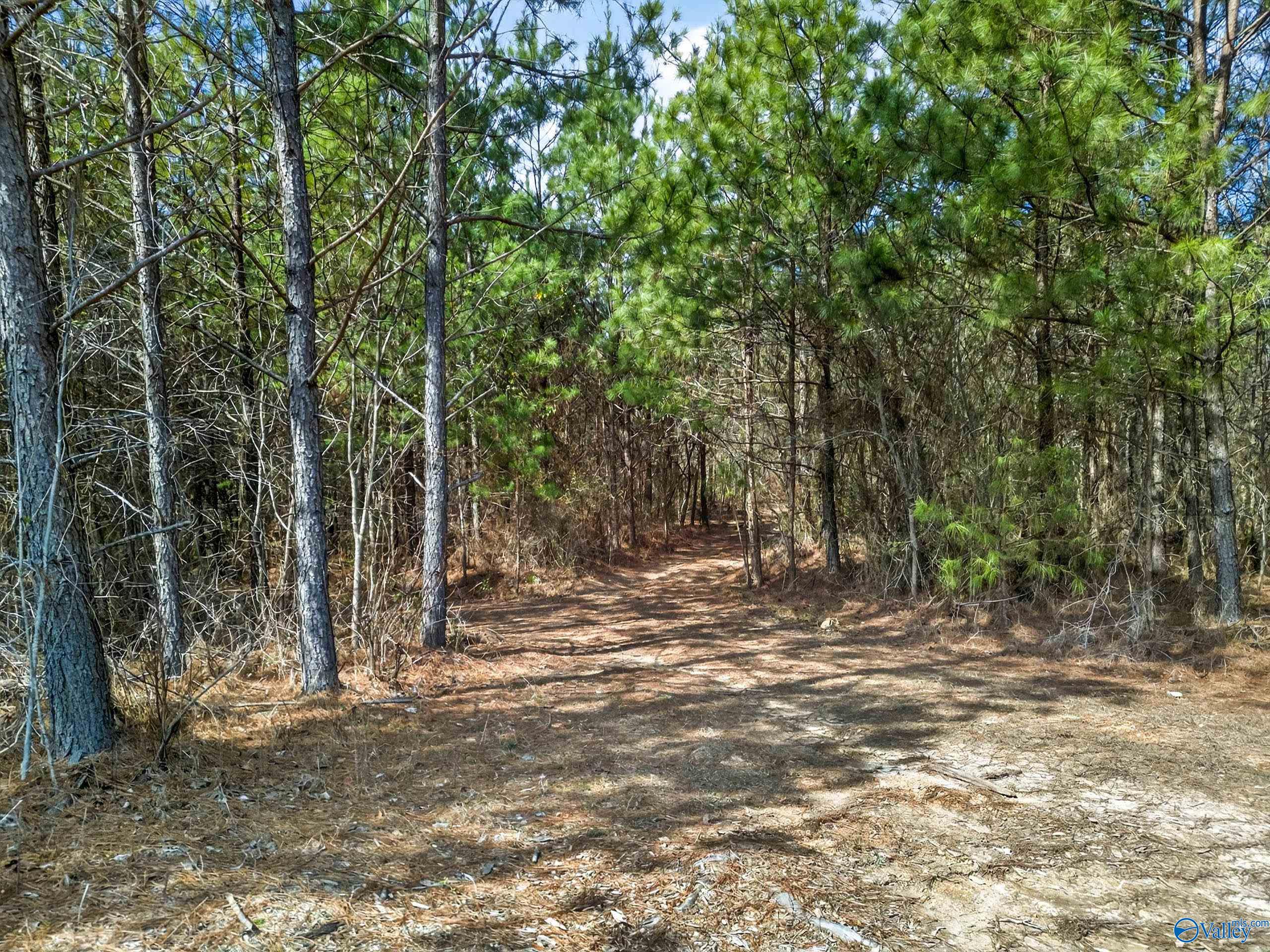 57 acres Persall Drive