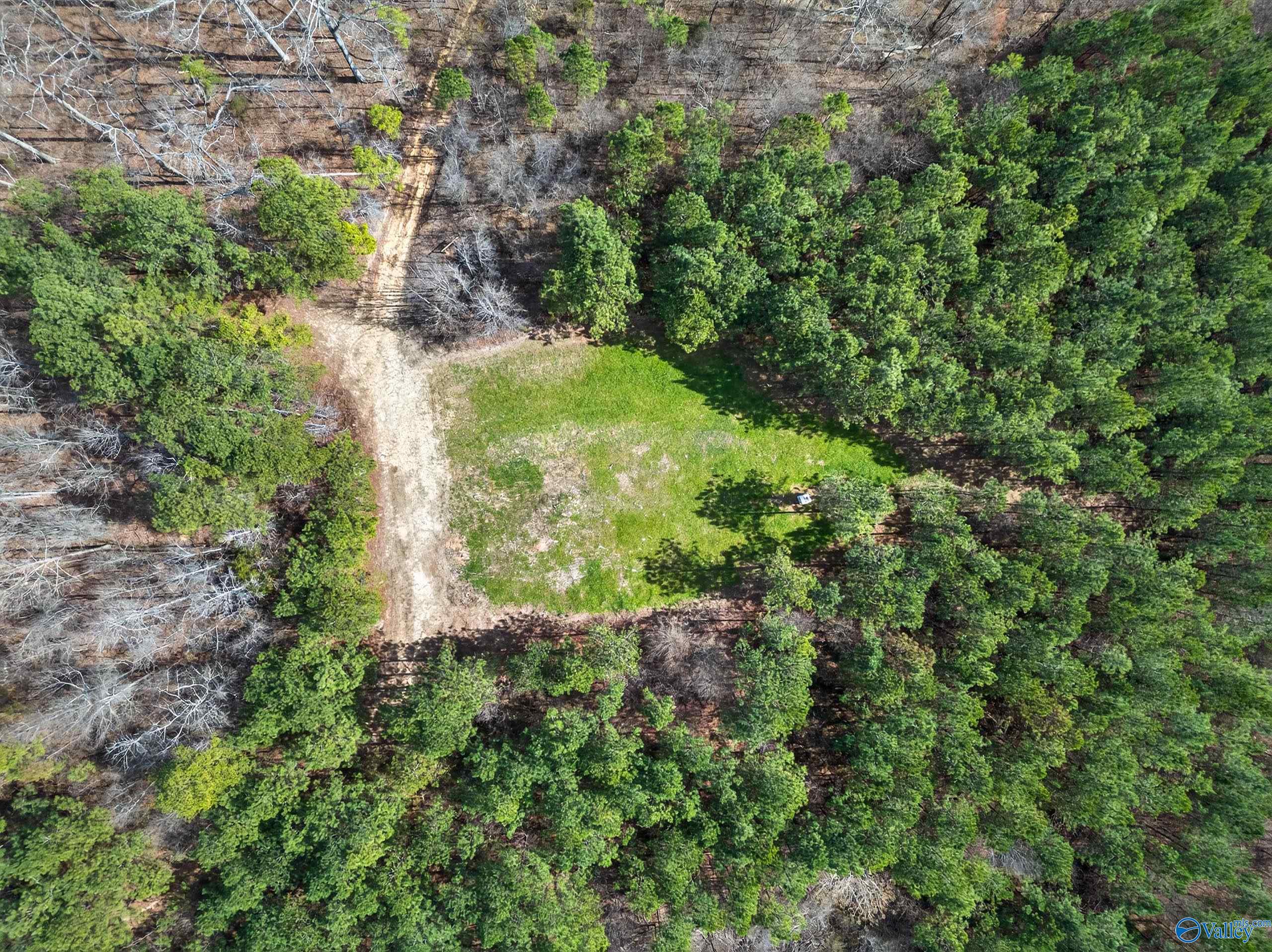 57 acres Persall Drive