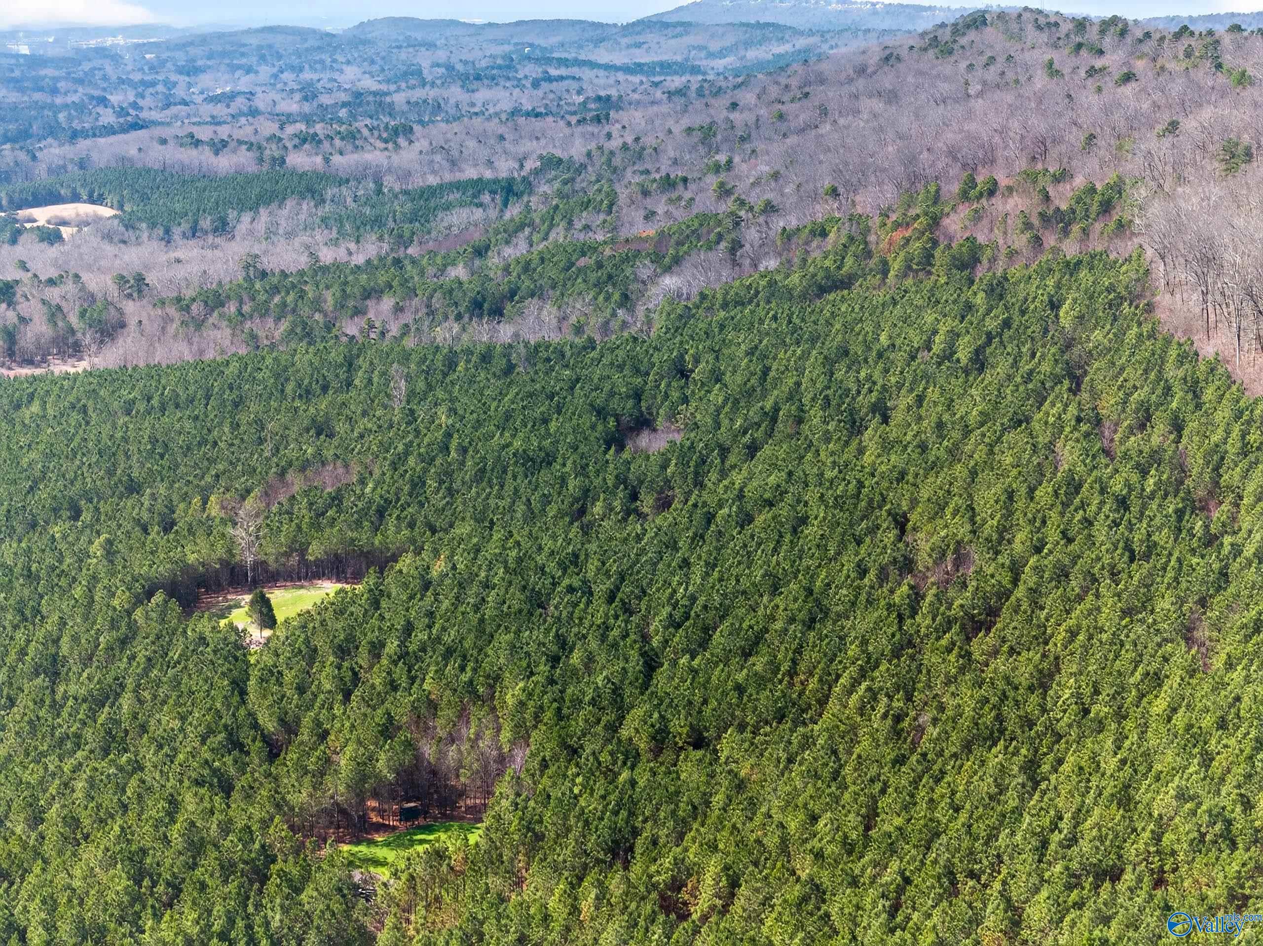 57 acres Persall Drive