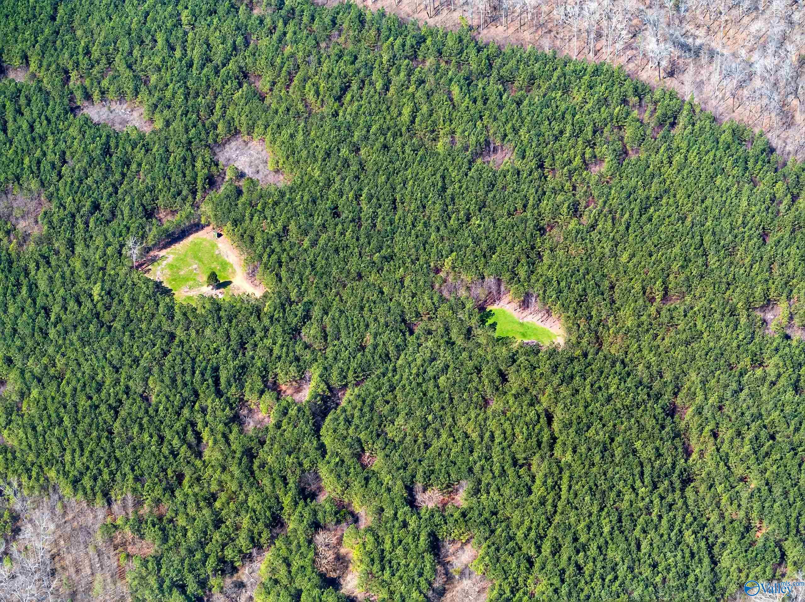 57 acres Persall Drive