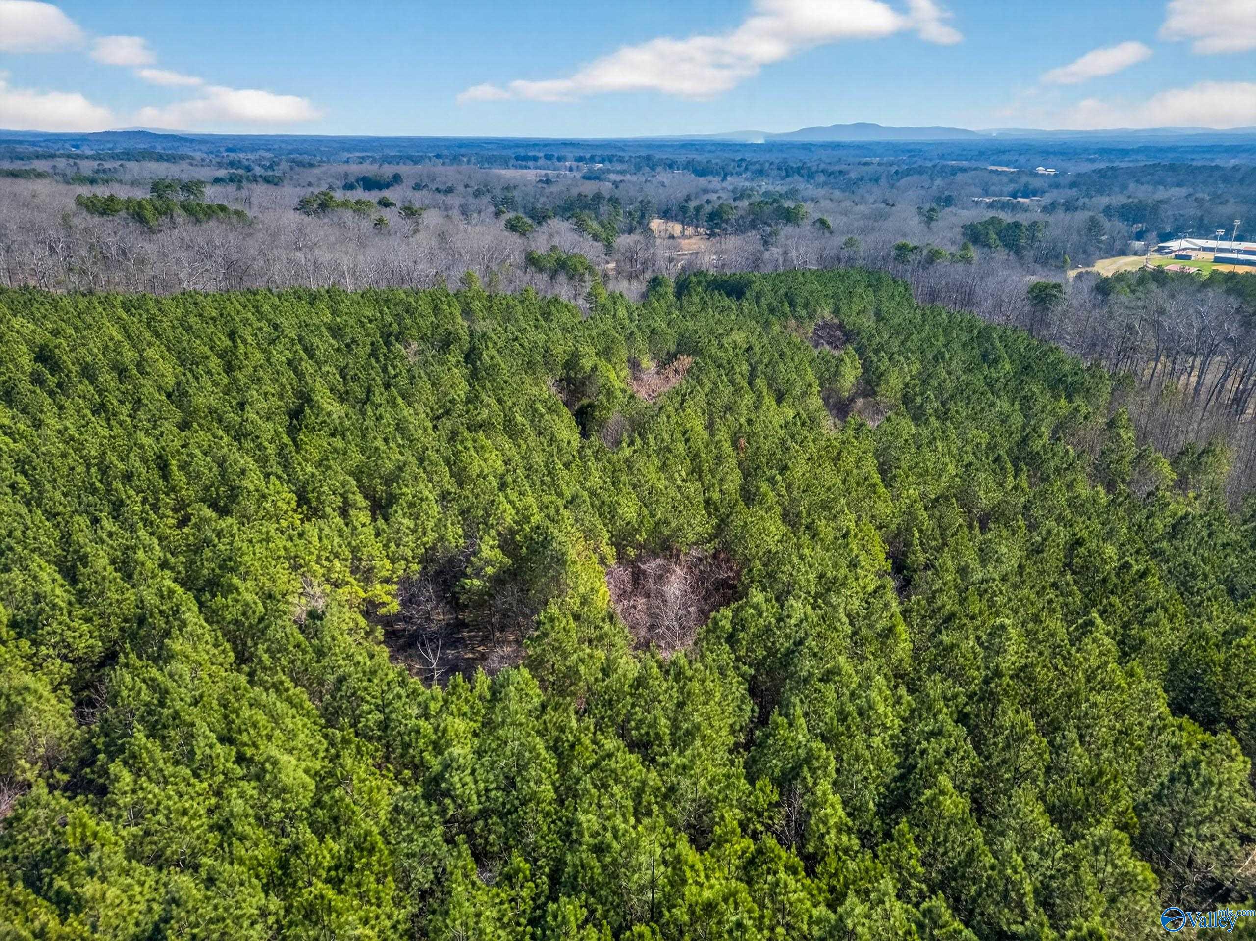 57 acres Persall Drive