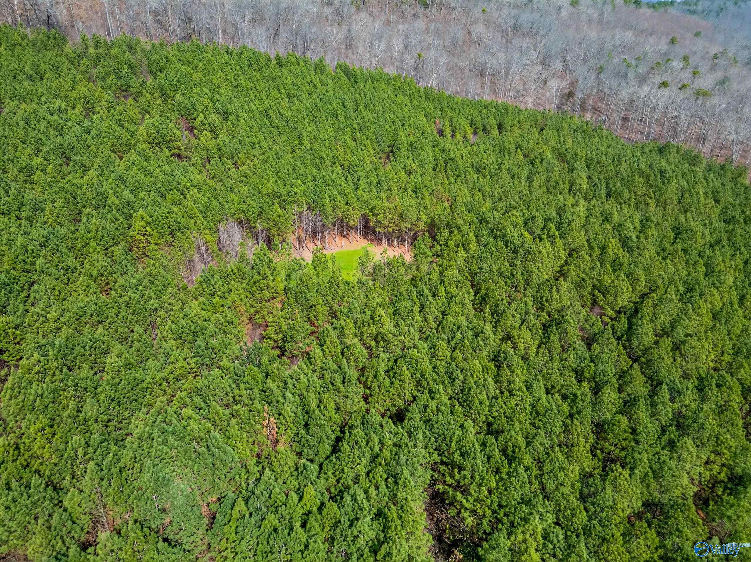 57 acres Persall Drive