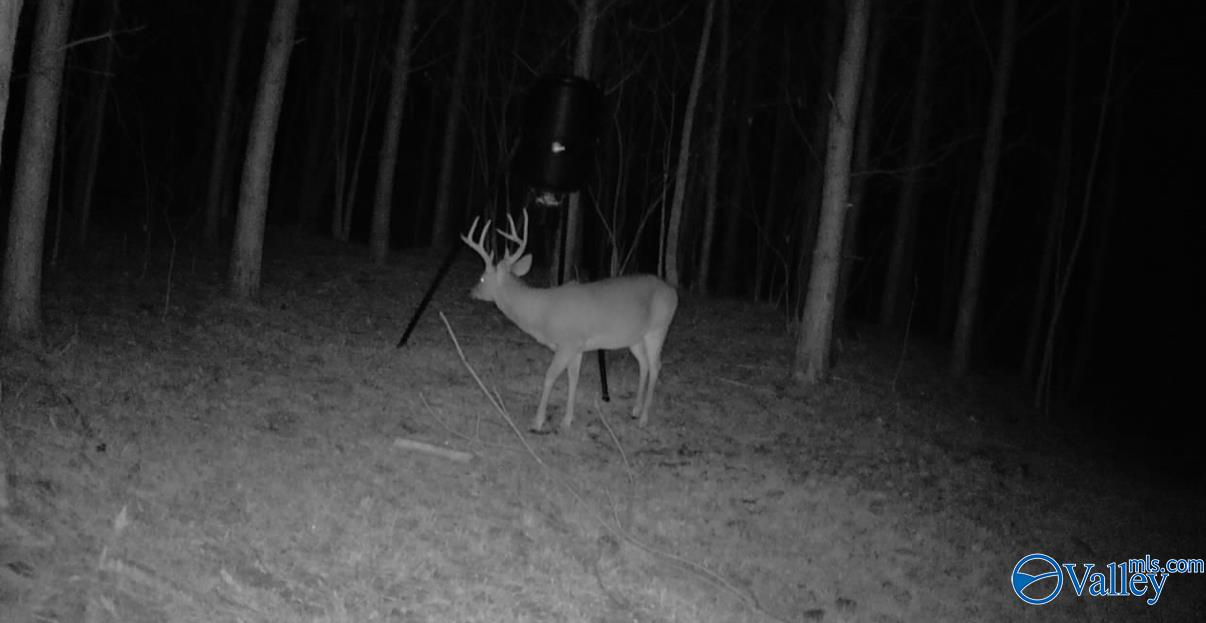 57 acres Persall Drive