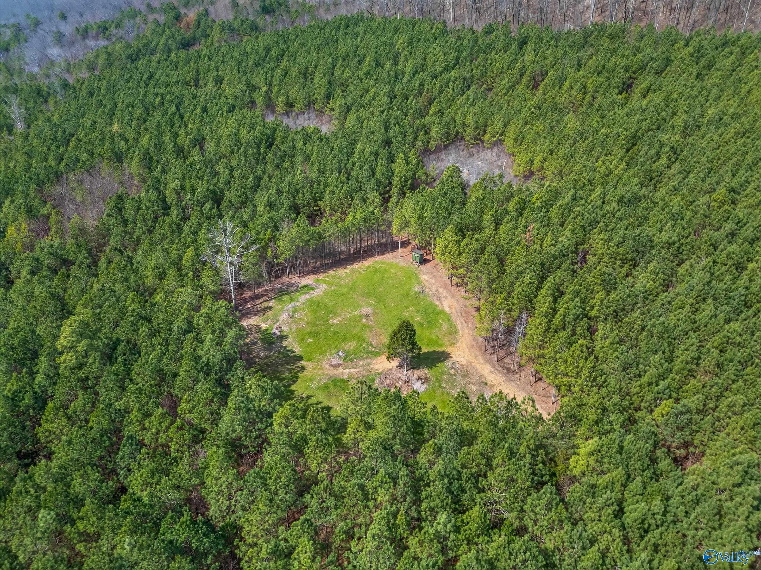 57 acres Persall Drive