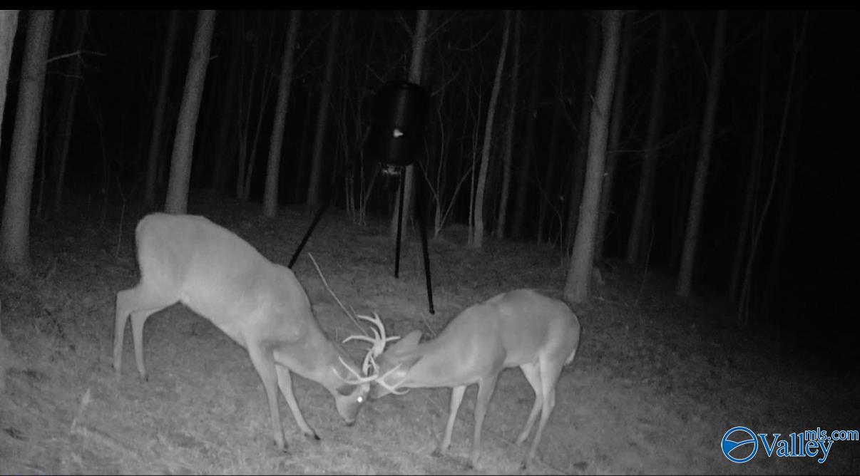 57 acres Persall Drive