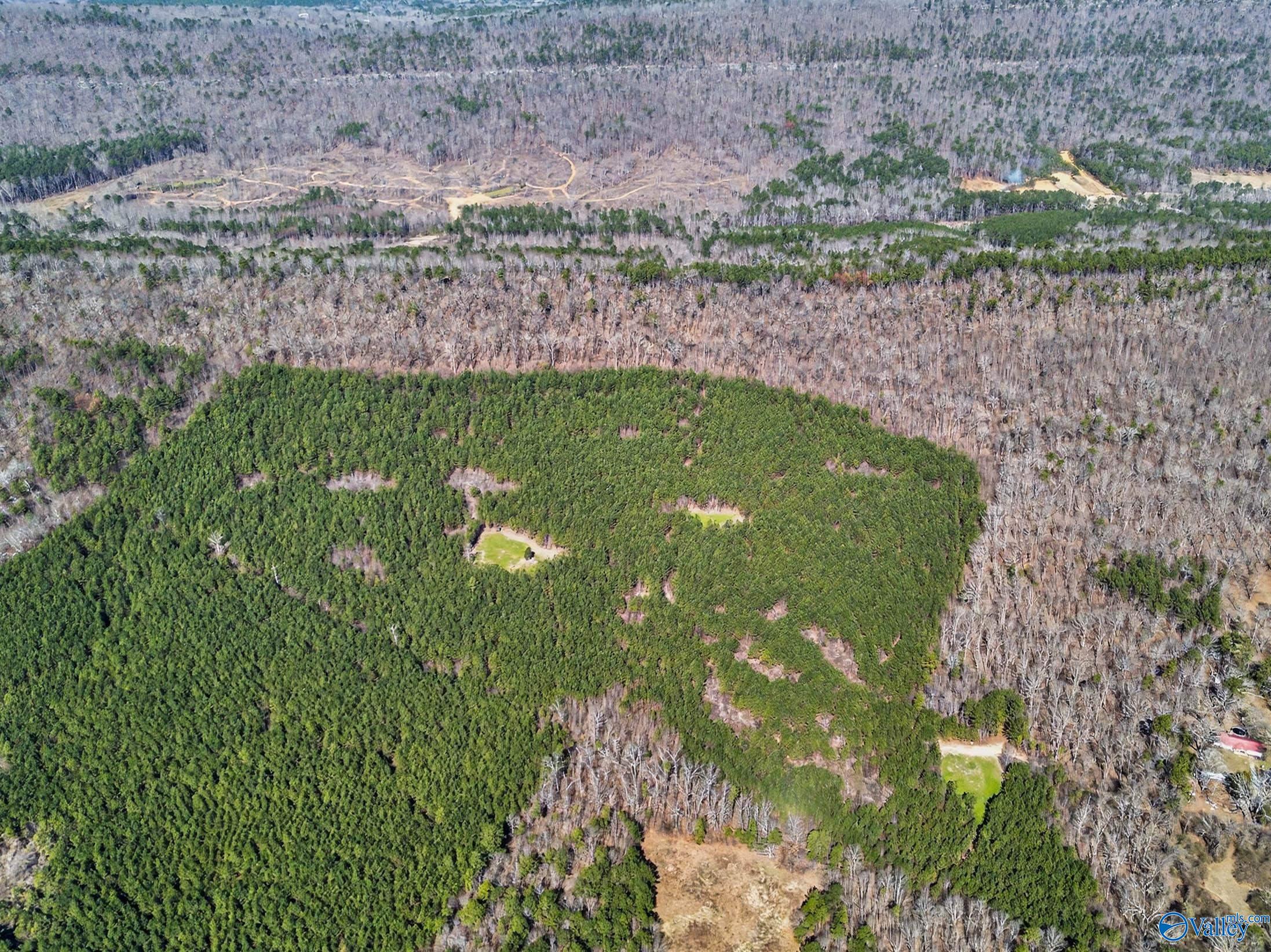 57 acres Persall Drive