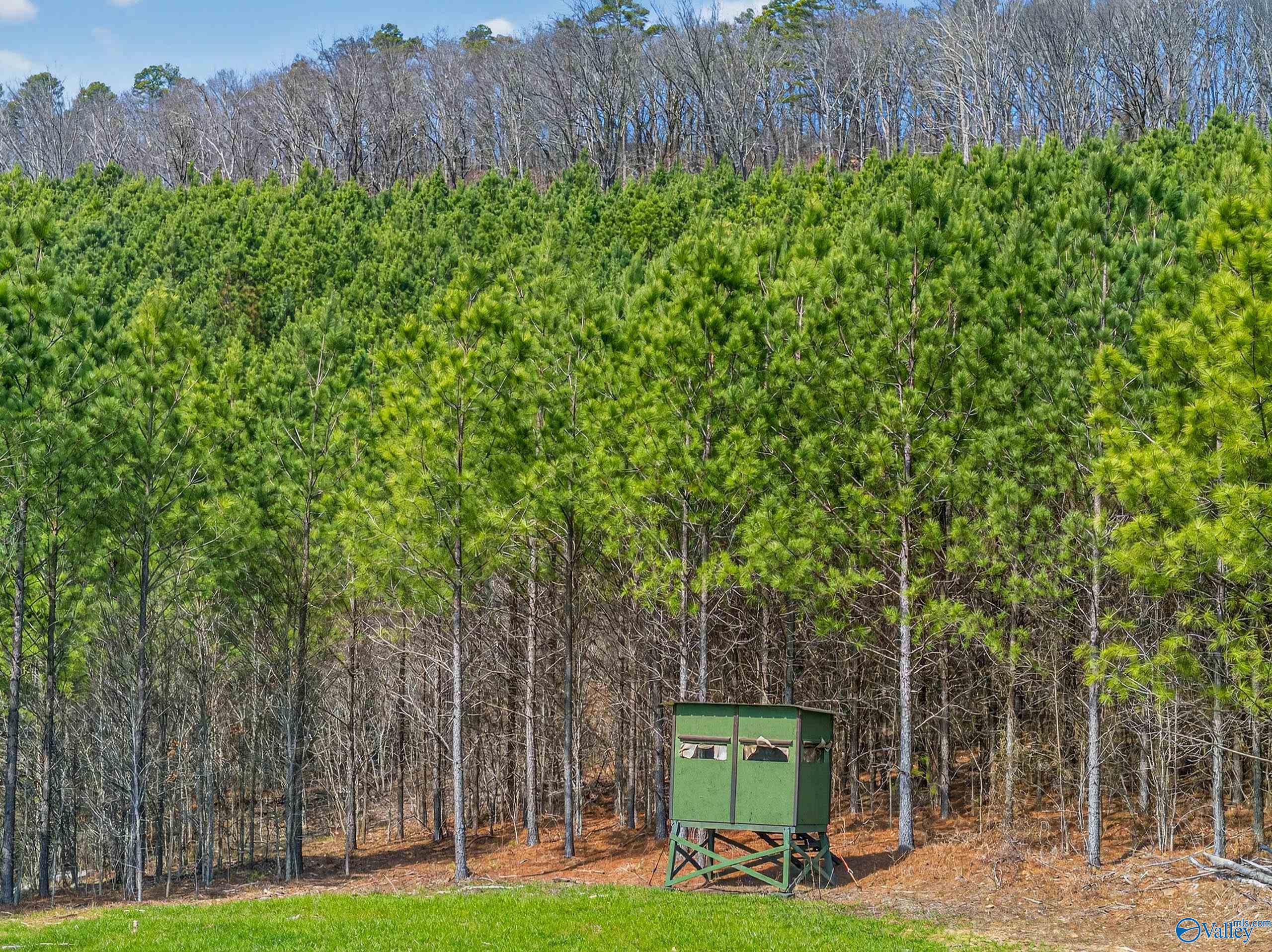 57 acres Persall Drive