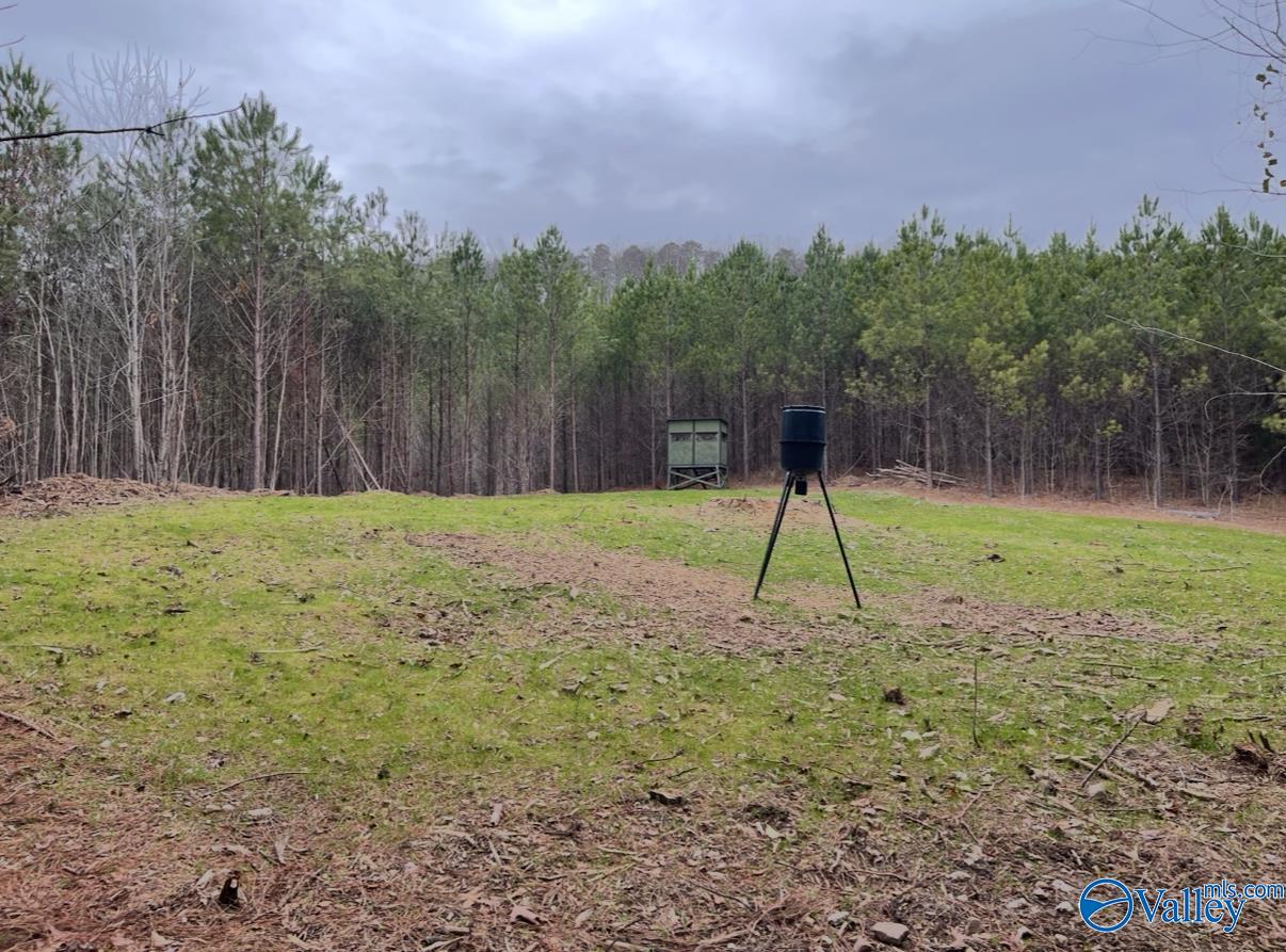 57 acres Persall Drive