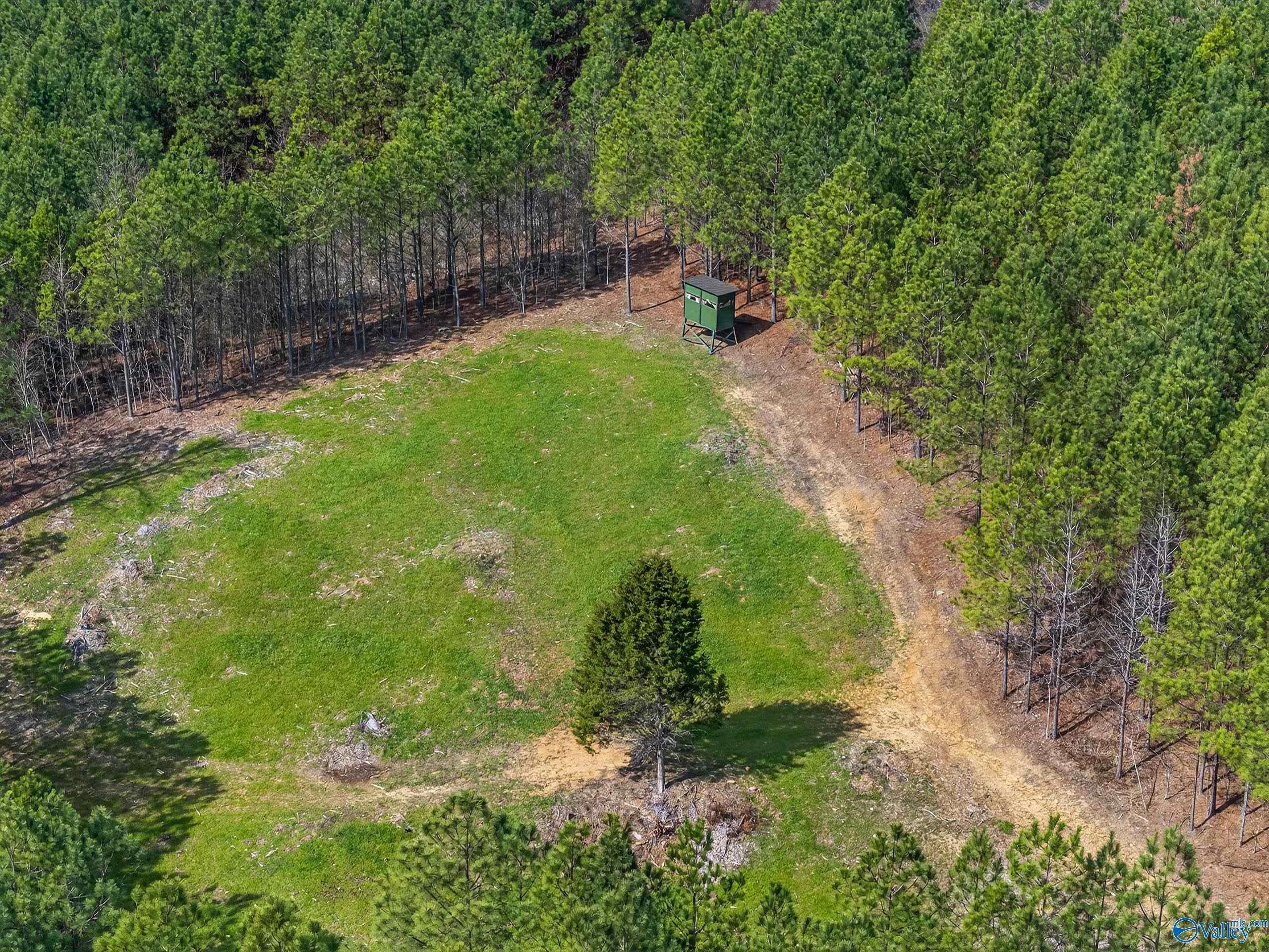 57 acres Persall Drive