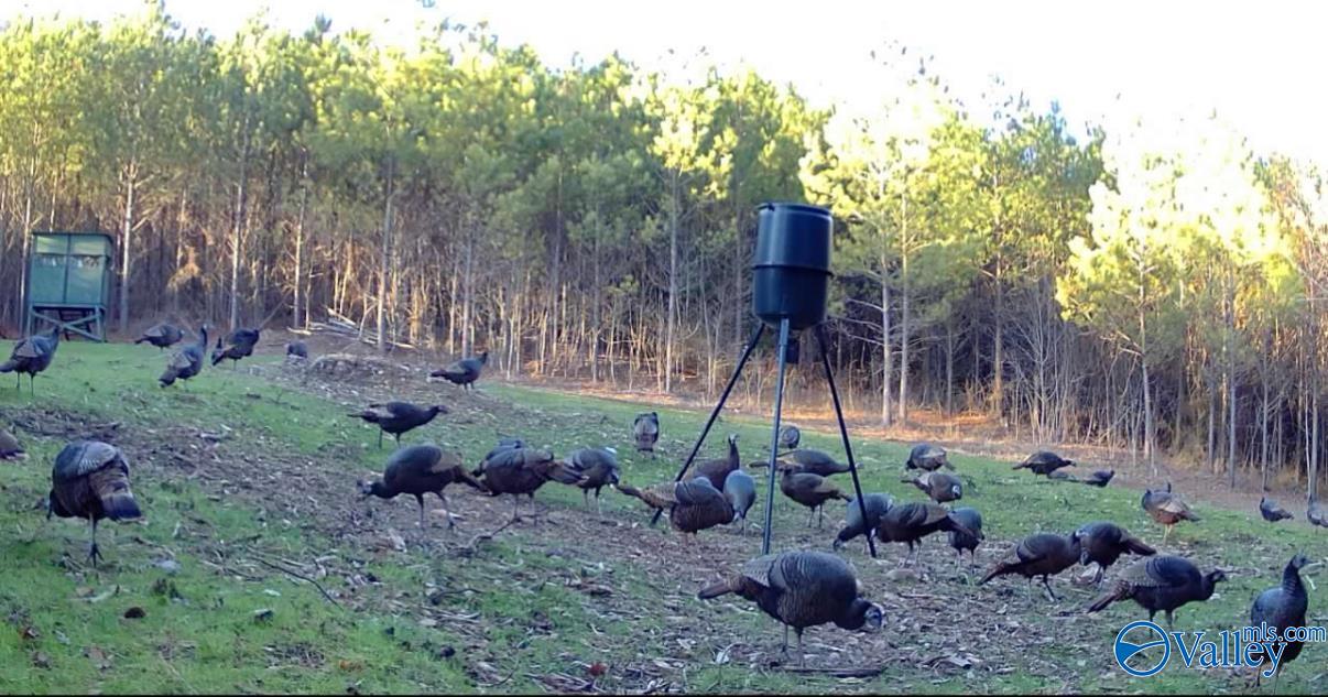 57 acres Persall Drive