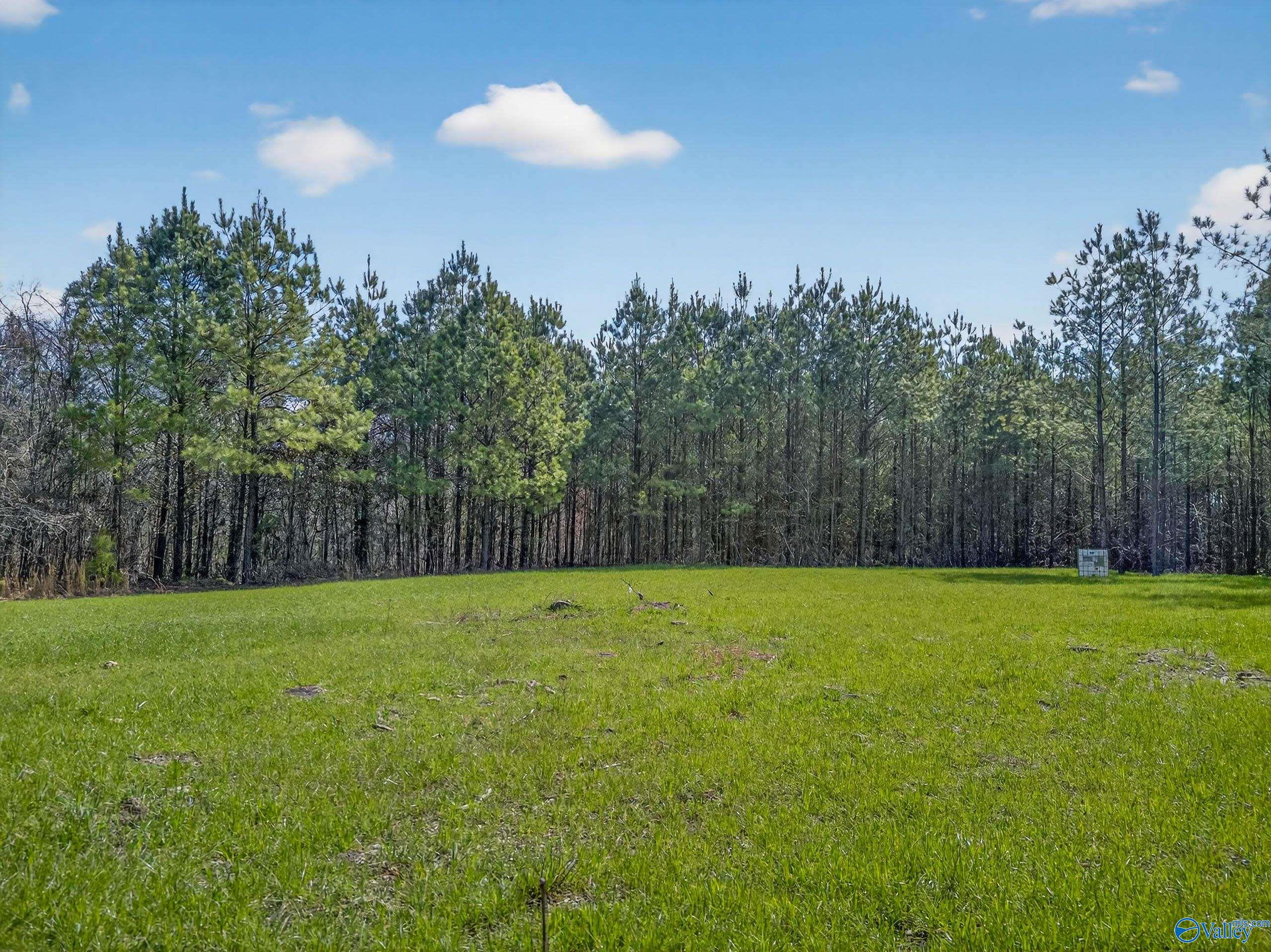 57 acres Persall Drive