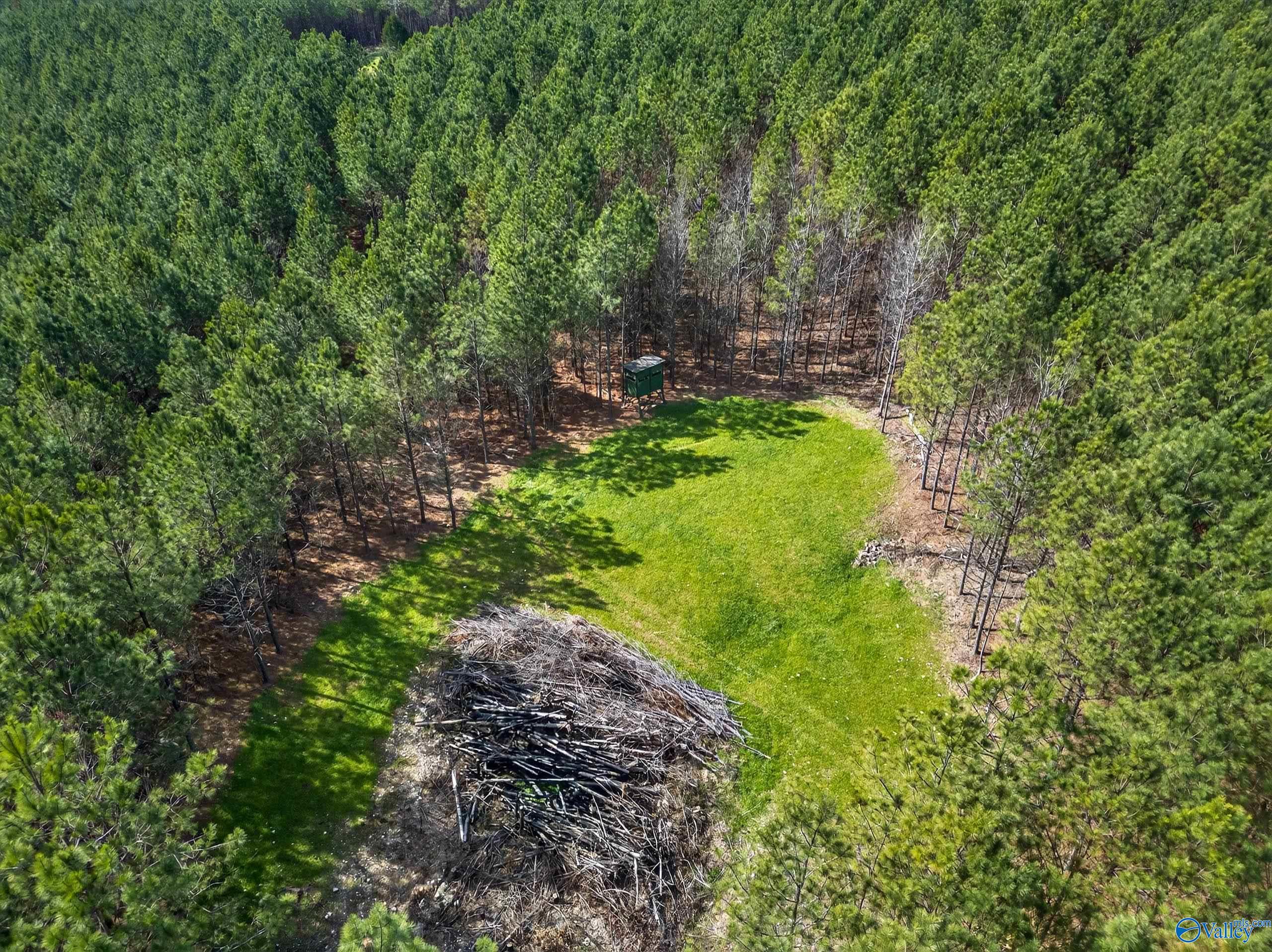 57 acres Persall Drive