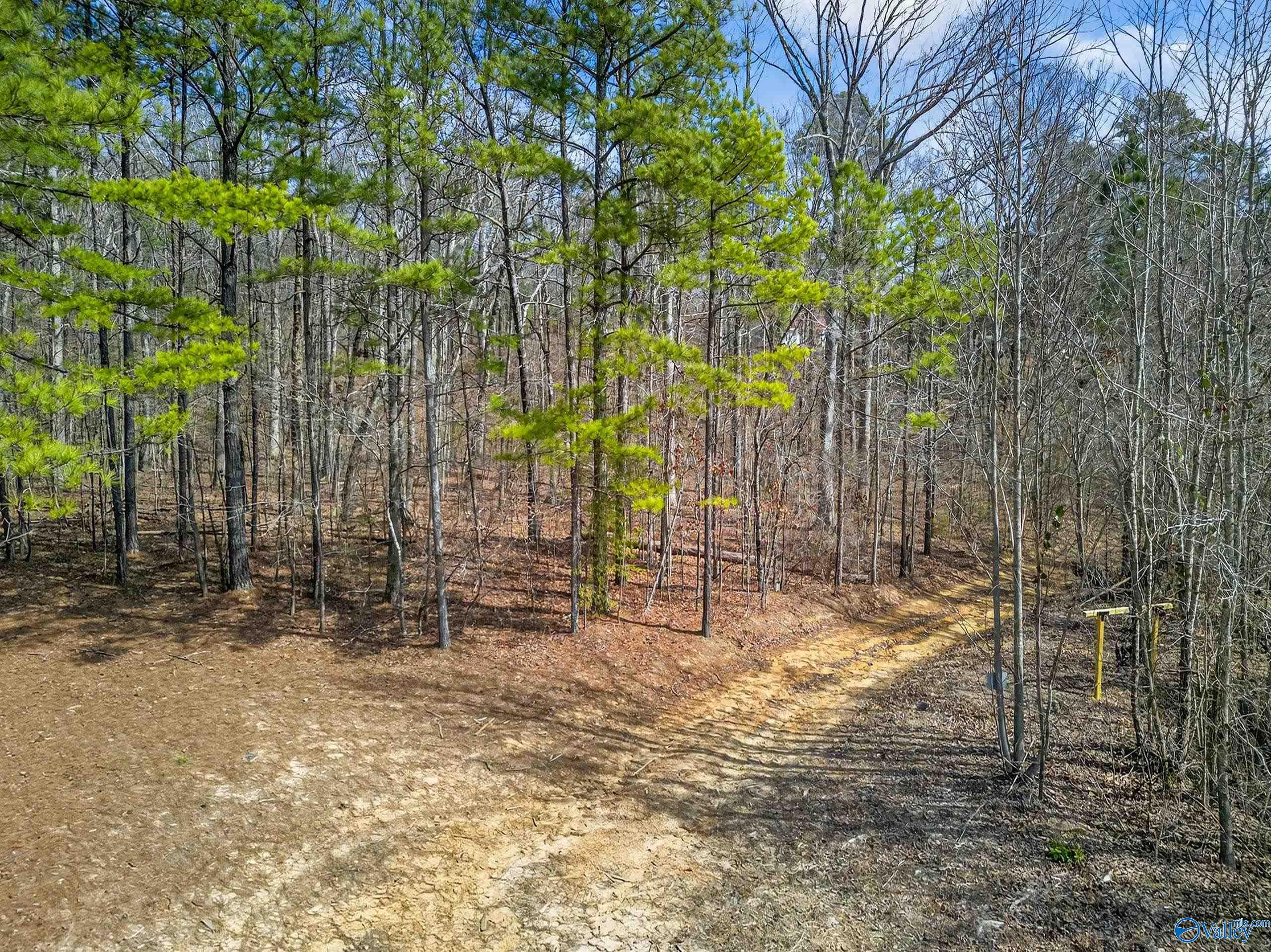 57 acres Persall Drive