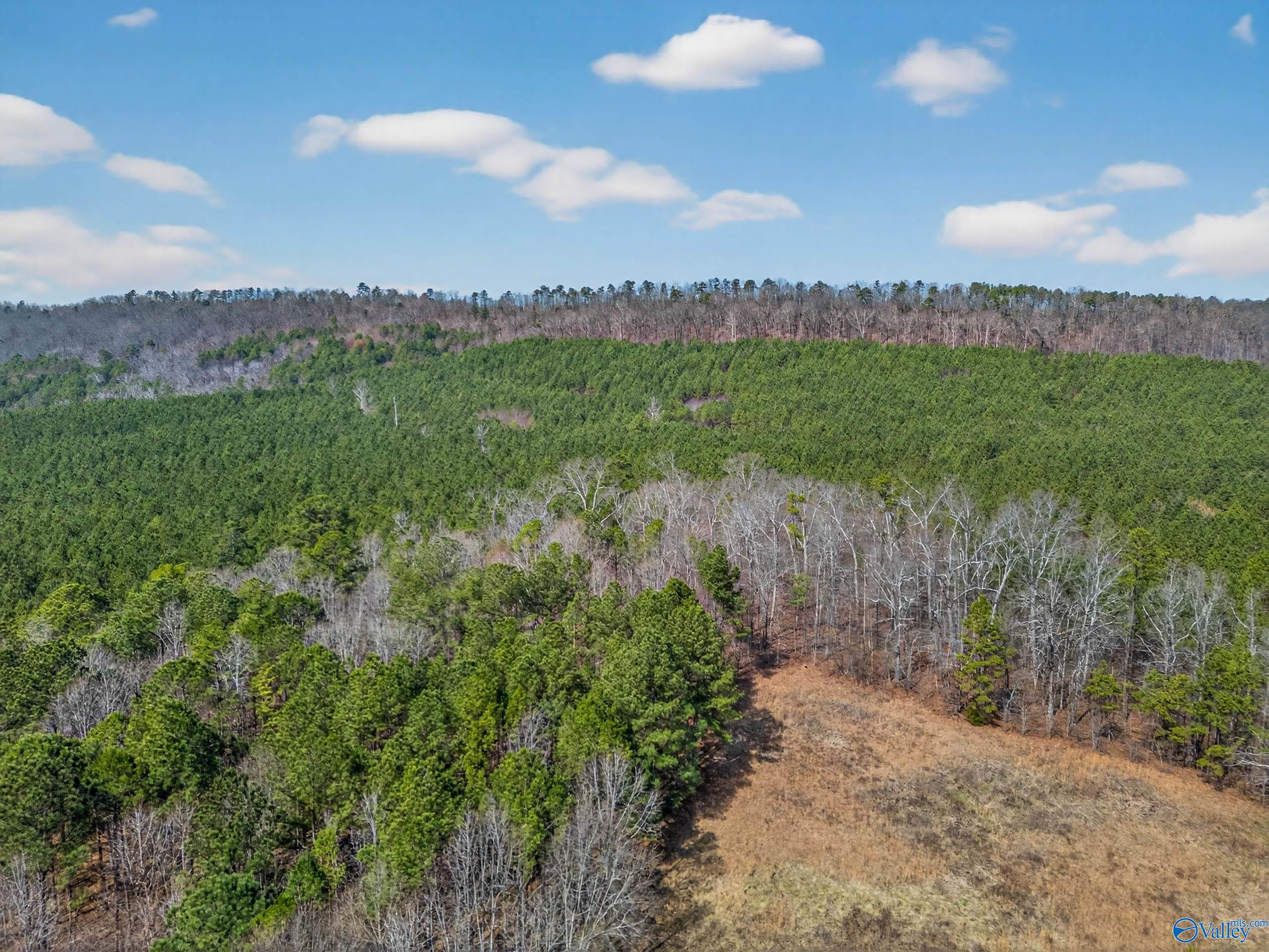 57 acres Persall Drive