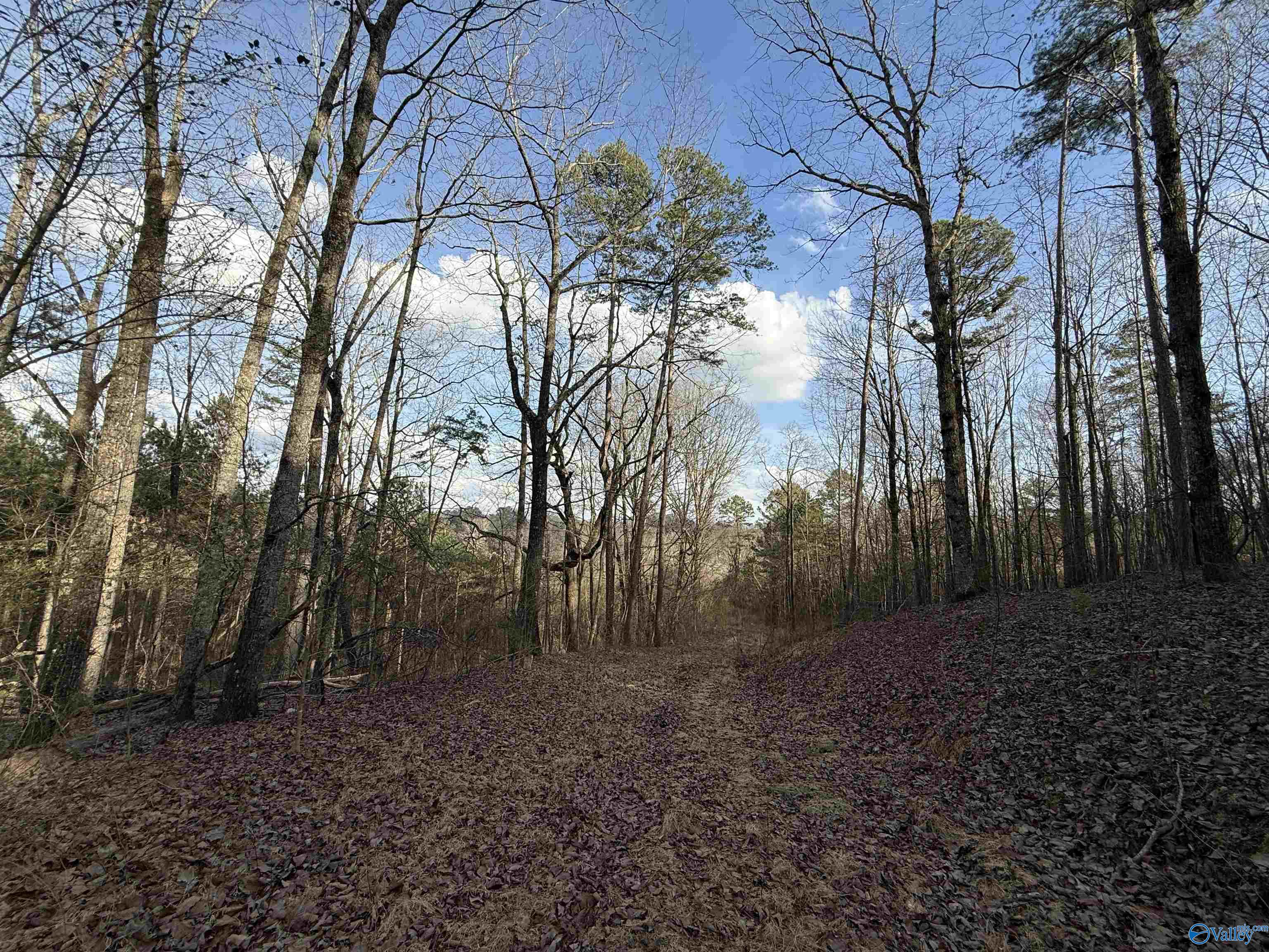2113 Buster Willett Road